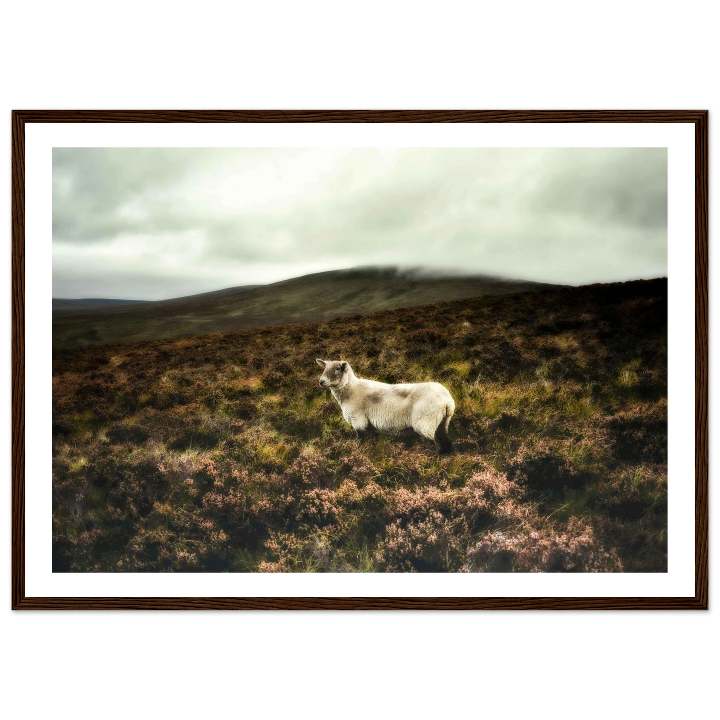 be24f9e6-6144-4713-a7a4-c36df3f0403d