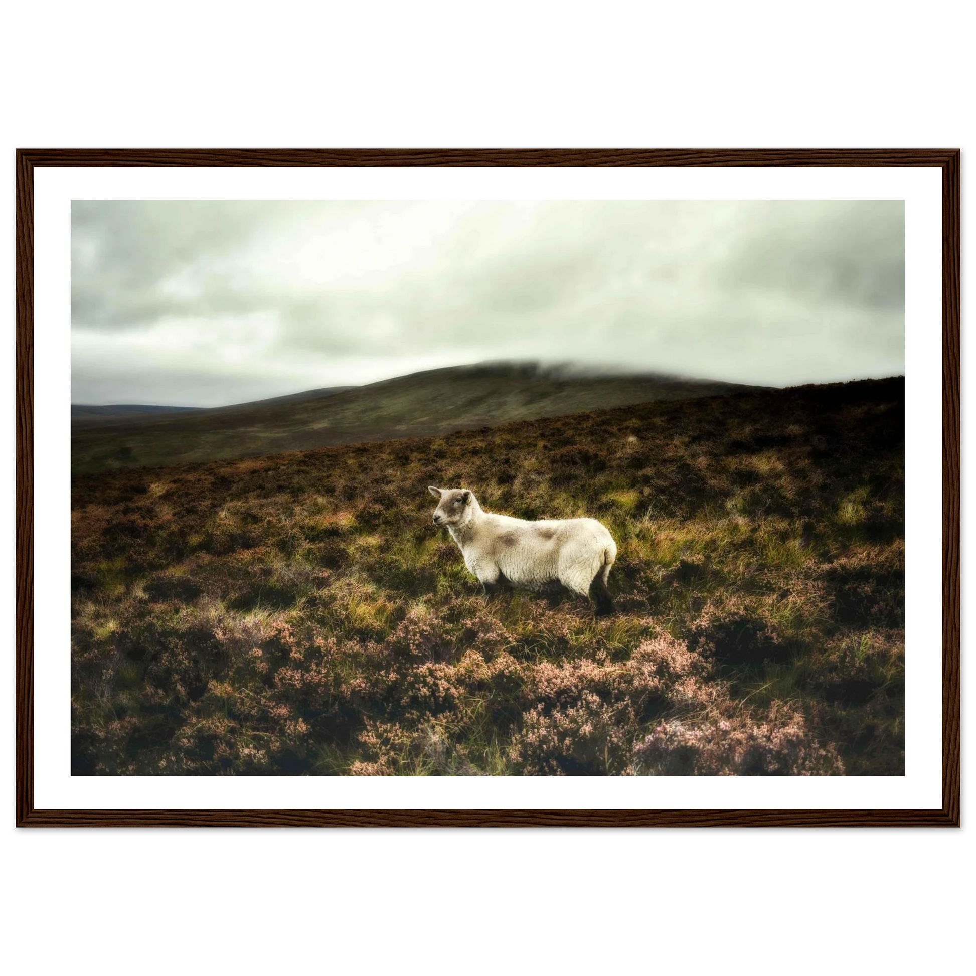 be24f9e6-6144-4713-a7a4-c36df3f0403d