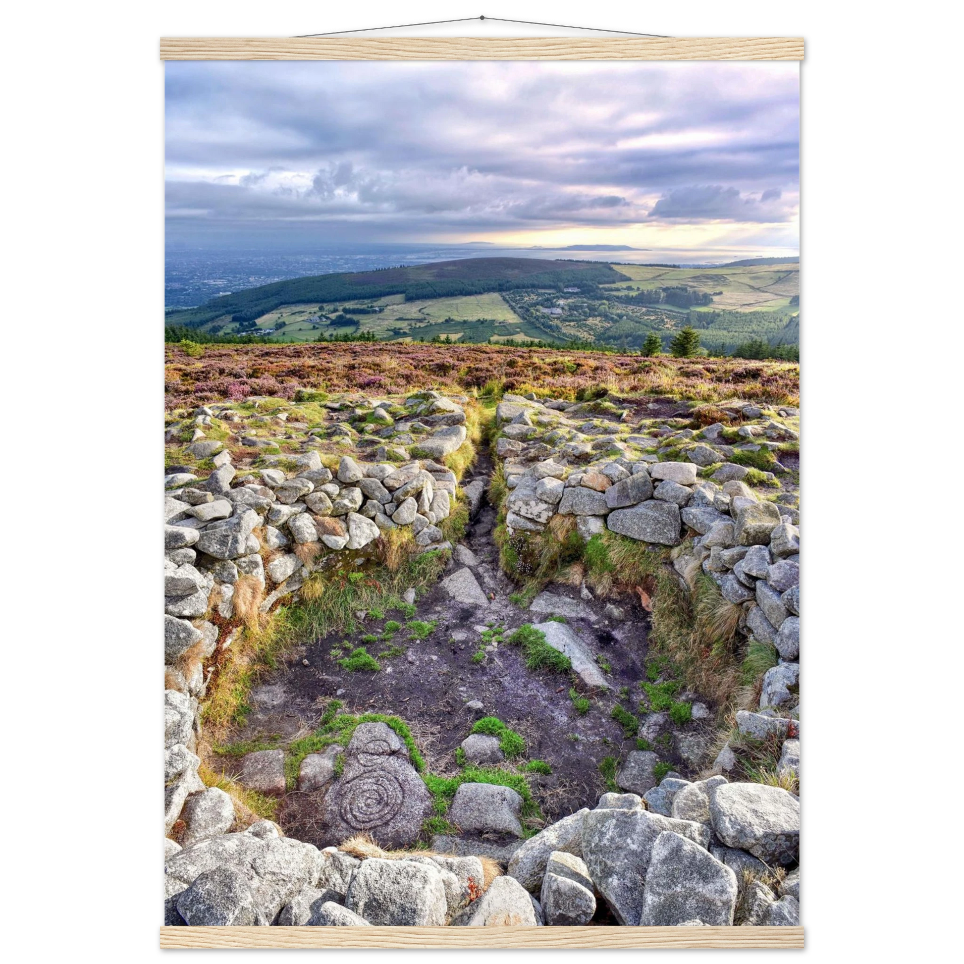 be9bbf31-137e-4b03-8ca0-da1aee7b6fae