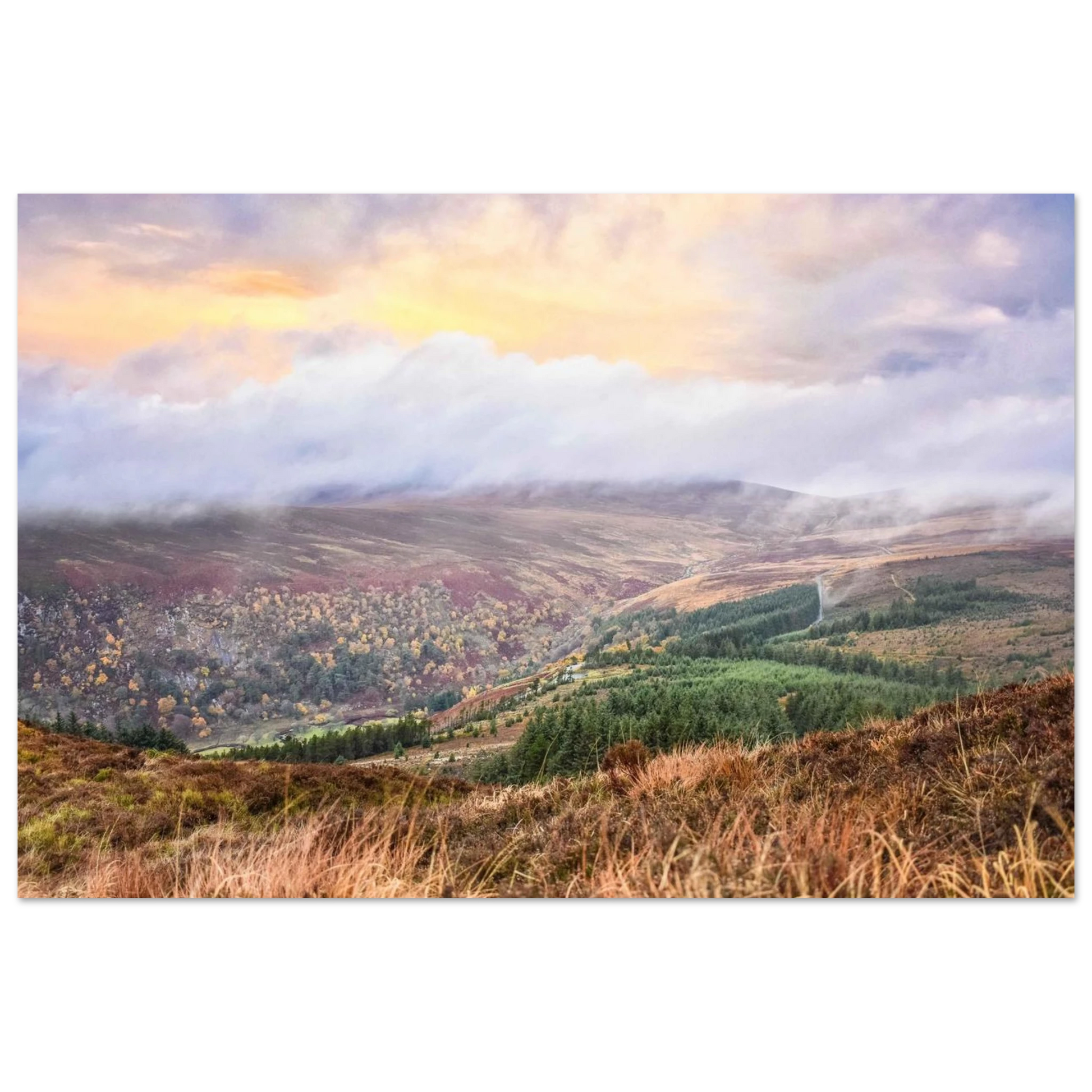 becf7af1-741f-4a5a-93e1-9ded495c9639