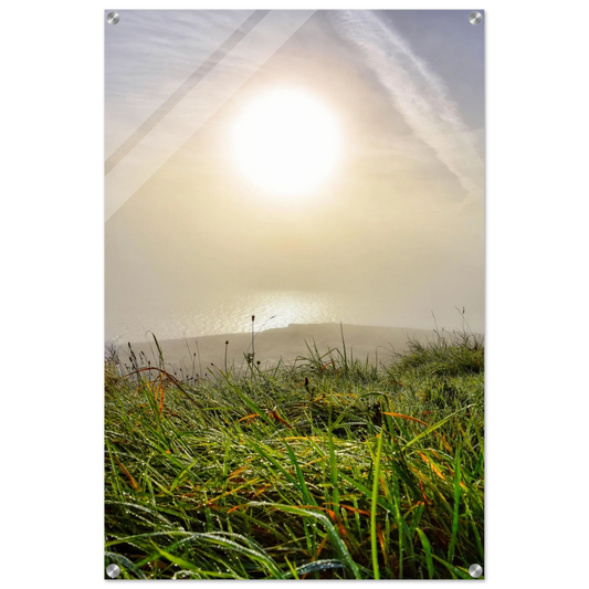 bf0d2c7f-95d1-4d1f-a192-c83647bd7b51