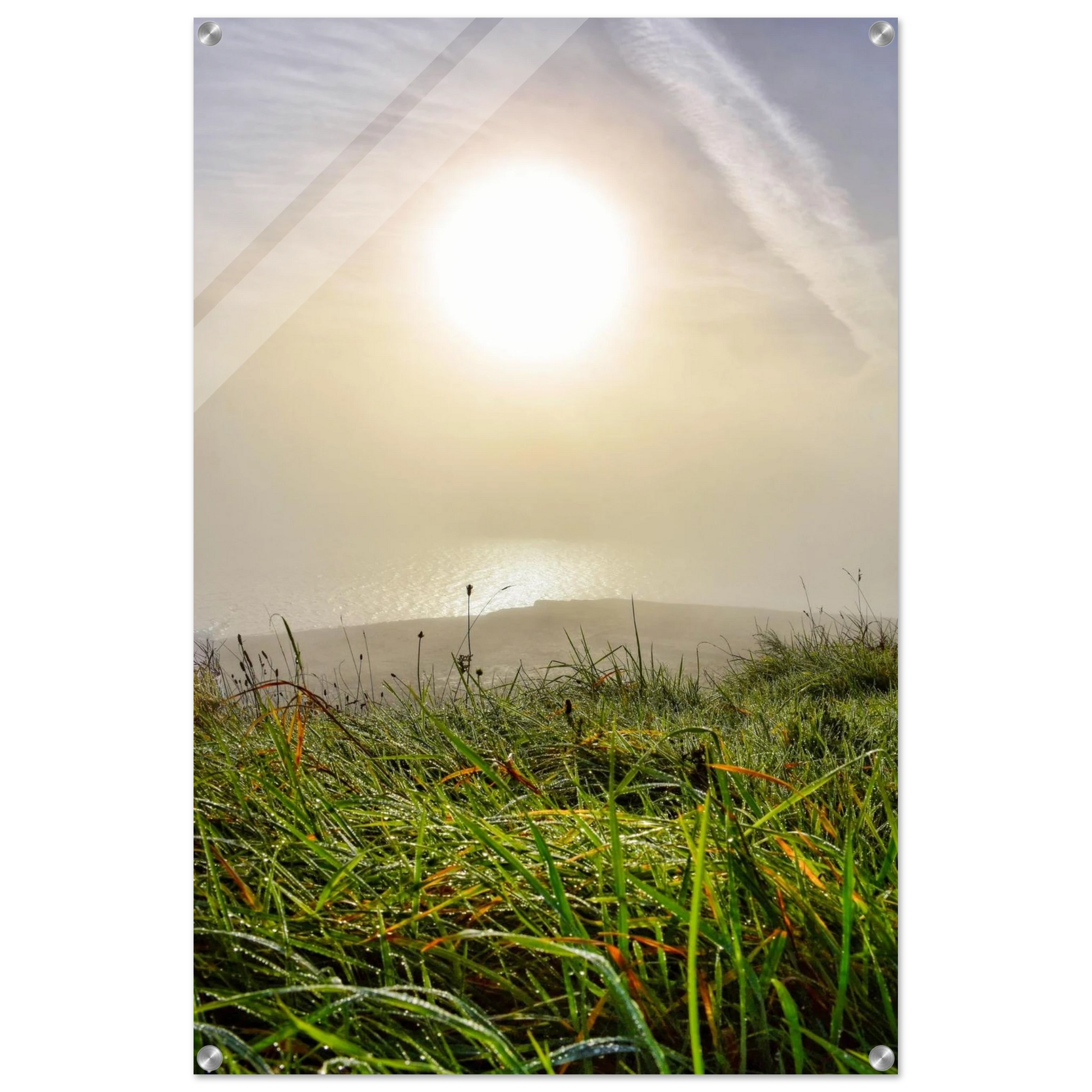 bf0d2c7f-95d1-4d1f-a192-c83647bd7b51