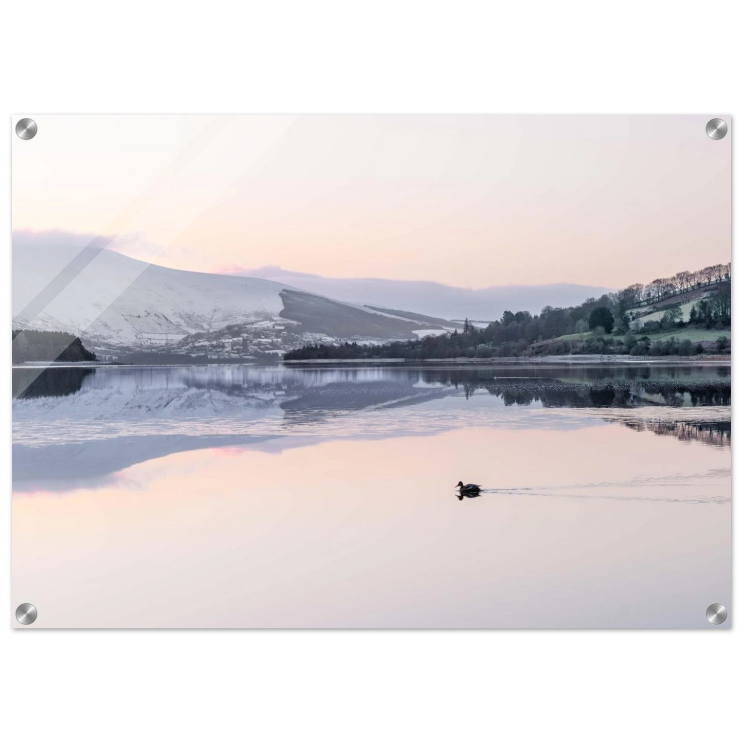 bf59637d-3a44-42cb-98de-814aac507921