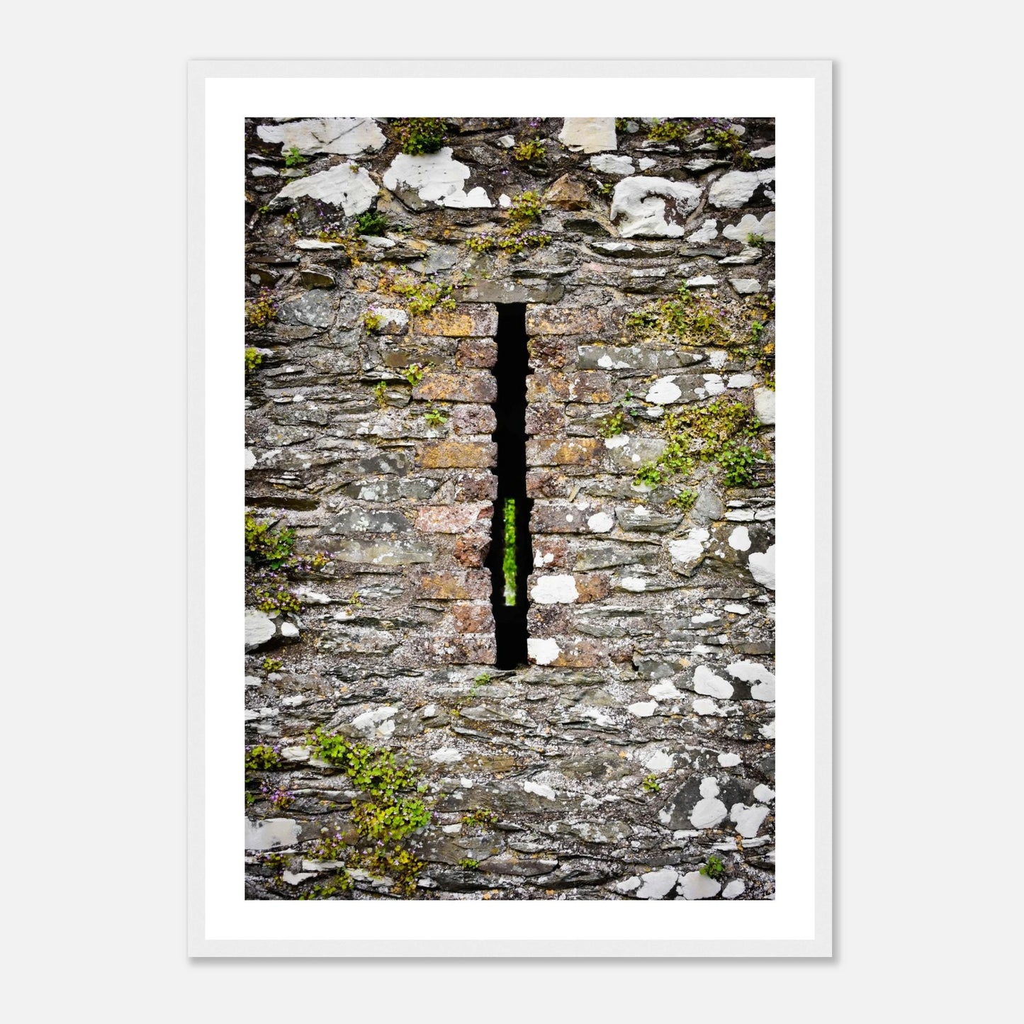 bfd881c7-de6b-4f8a-a0d9-082360006259