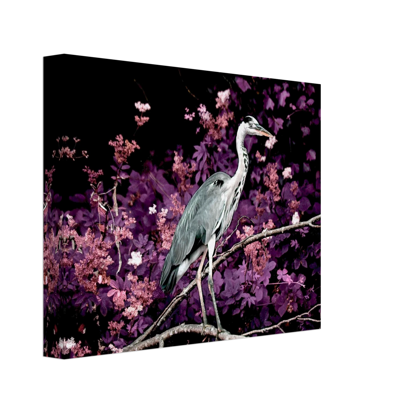 bff43e8f-e547-4895-9005-56178cfa688b