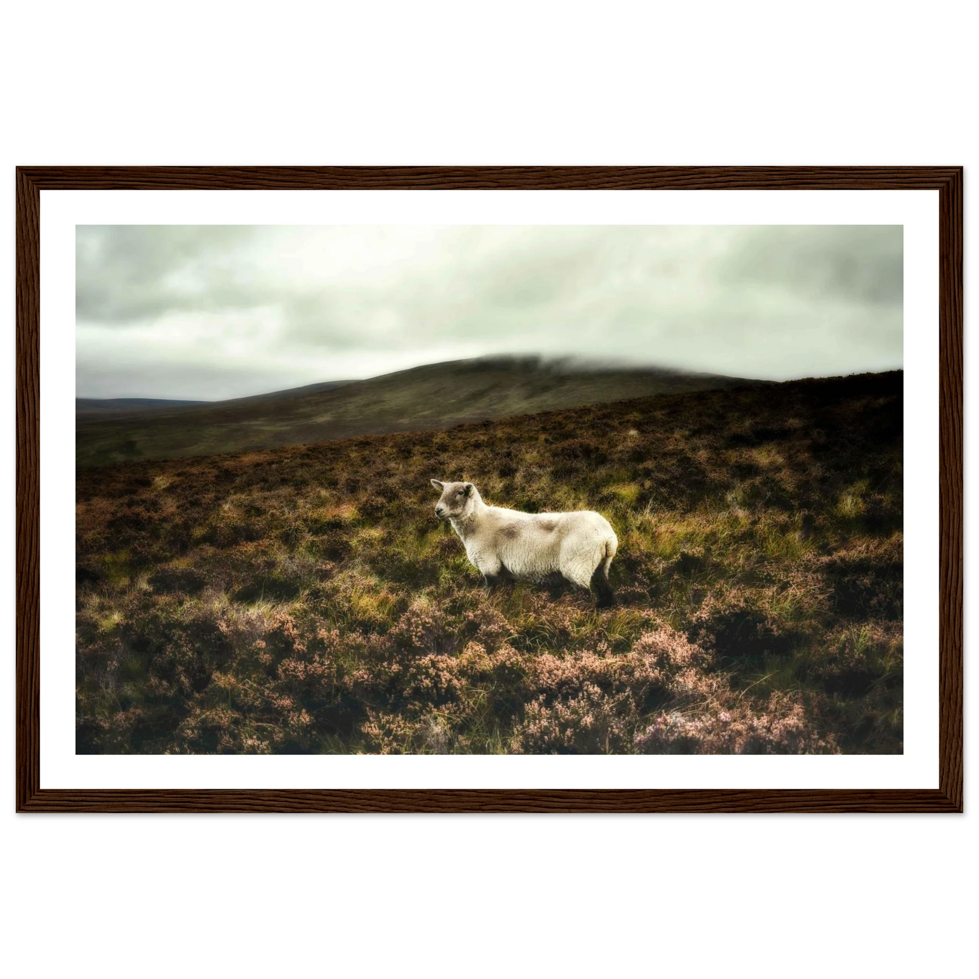 c090addc-4337-49d2-bd35-3baad65dd403