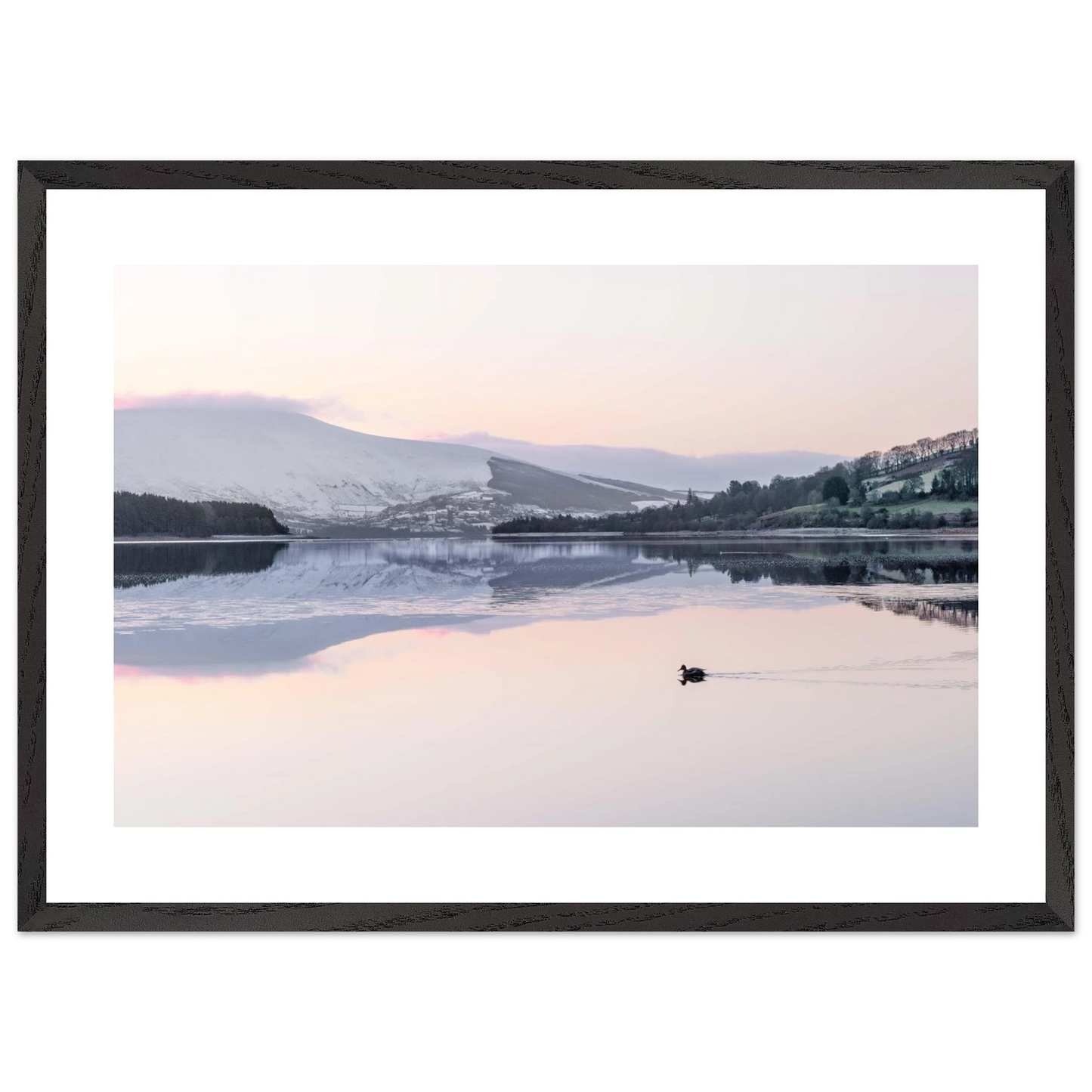 c0a997a4-cd0c-432e-8779-3e475b9de8a3