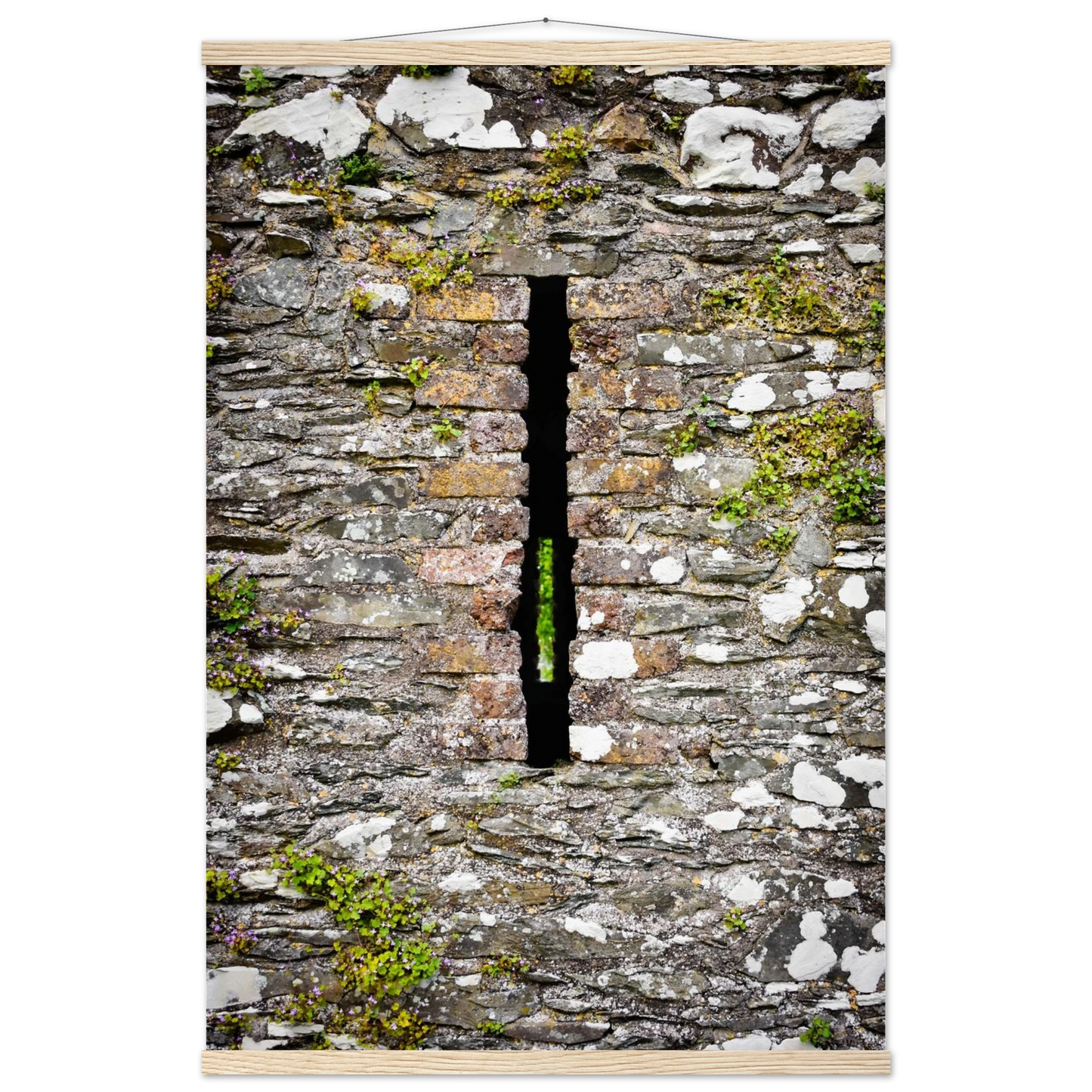 c0e0db31-a875-42a4-a133-2a4f8ea7a4cf