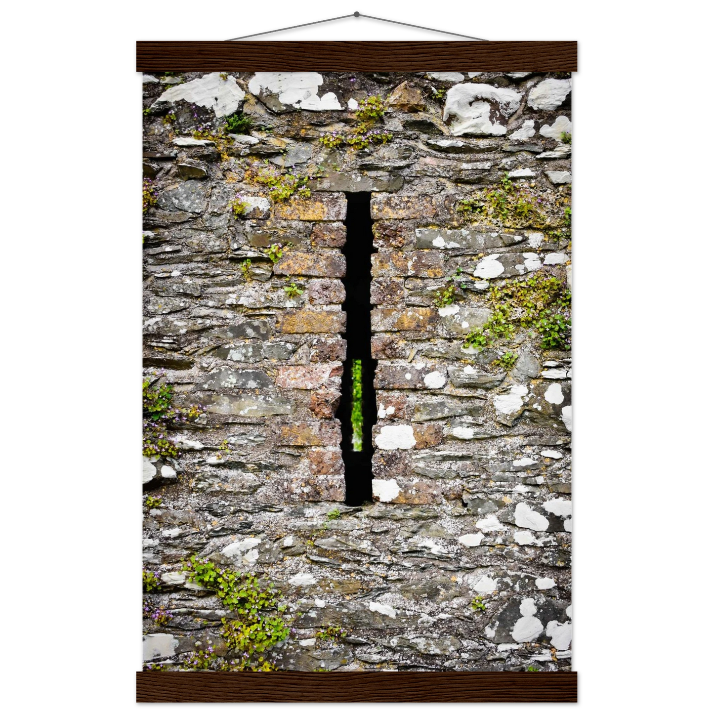 c0f9bf45-8c79-4312-82a7-acfb5d2ba26d