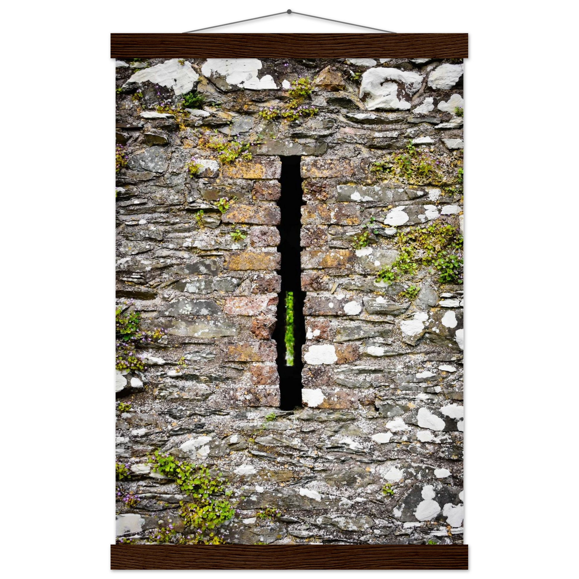 c0f9bf45-8c79-4312-82a7-acfb5d2ba26d