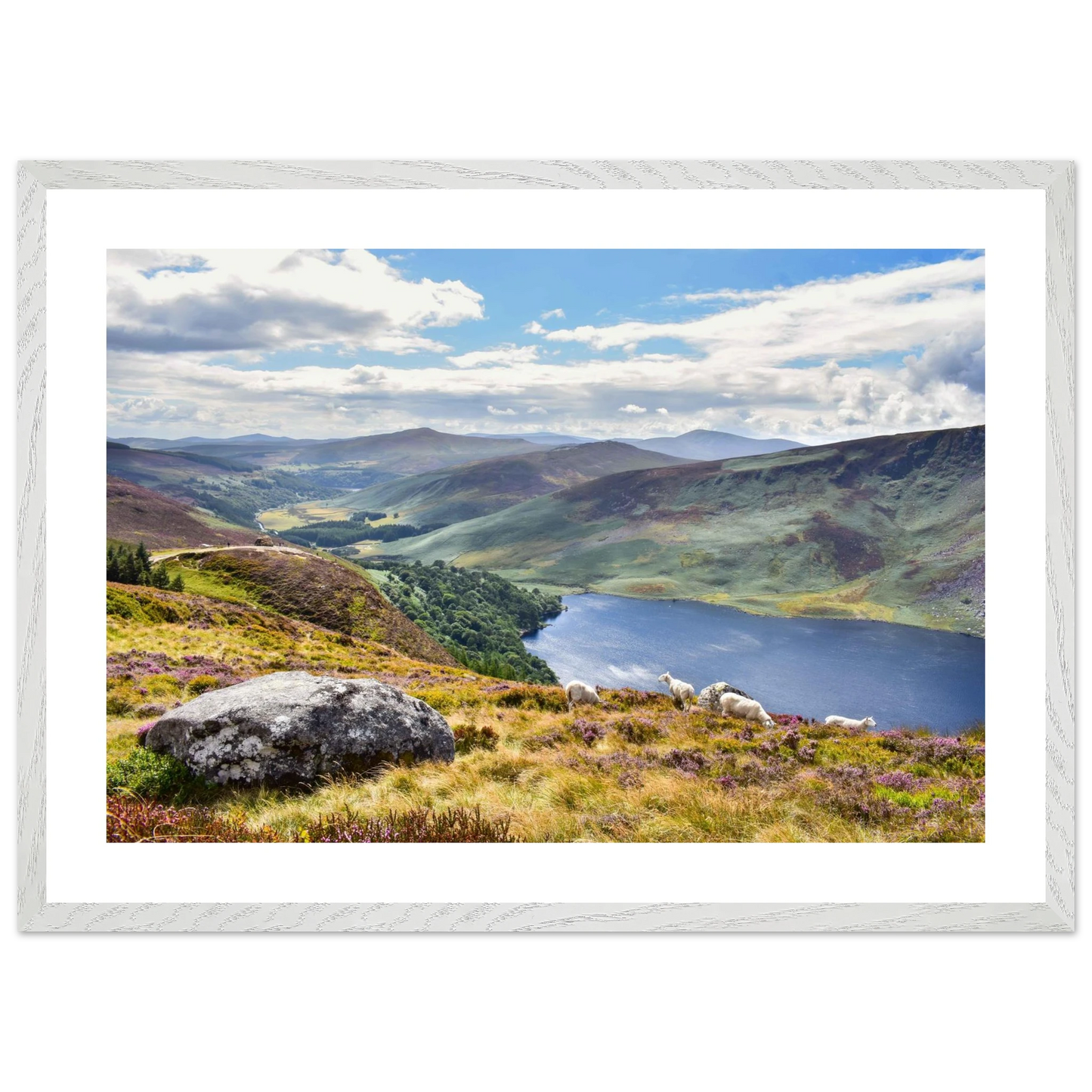 c143fb0e-41f4-46d3-8c2e-7c2563c3cfae