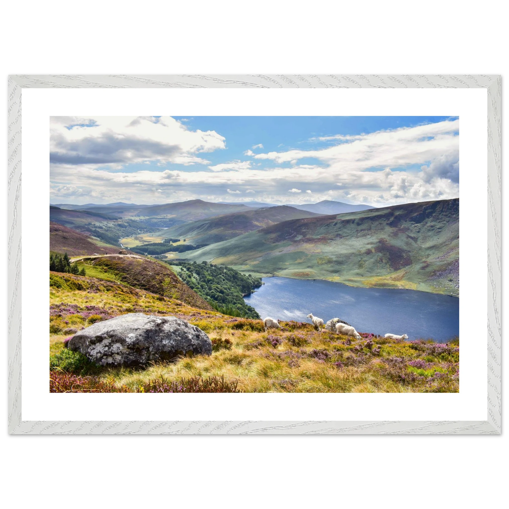 c143fb0e-41f4-46d3-8c2e-7c2563c3cfae