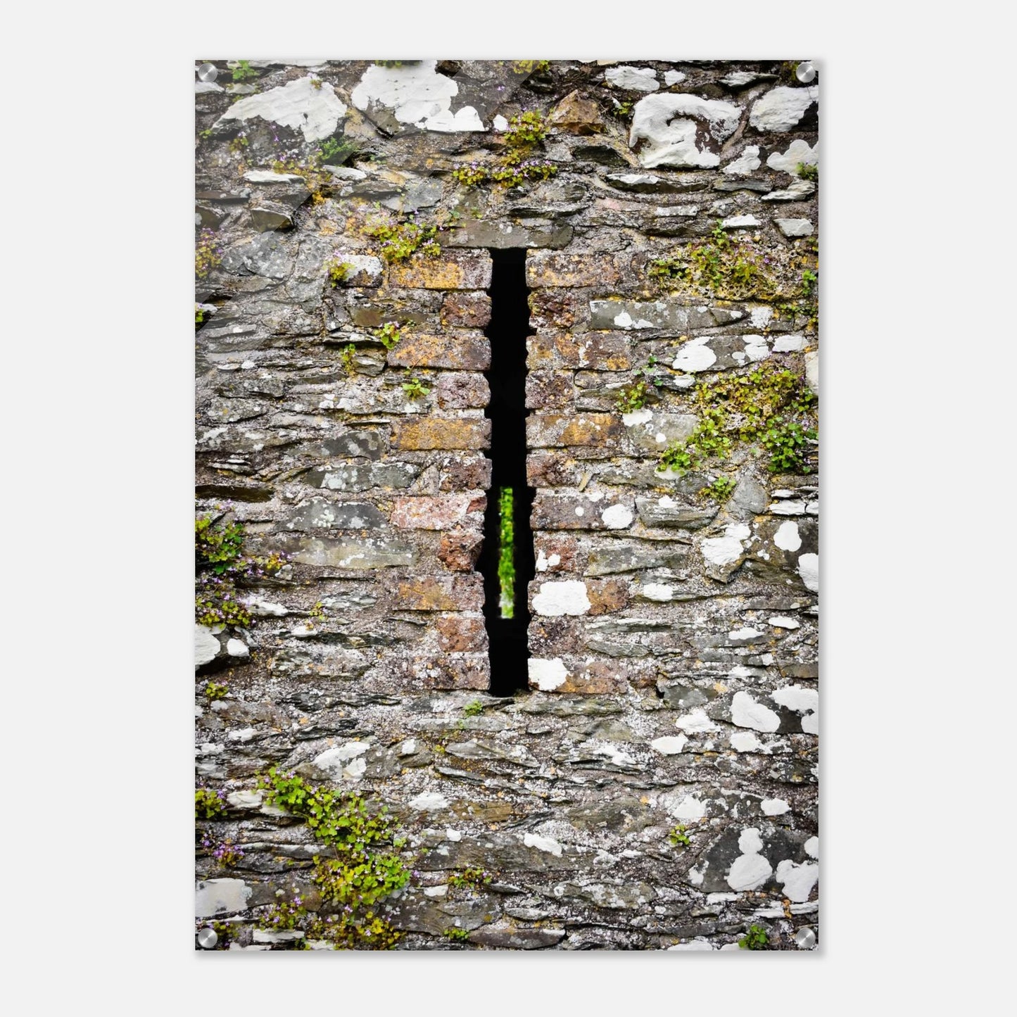 c14655b2-d532-4f14-9a9b-cf680bc13f14