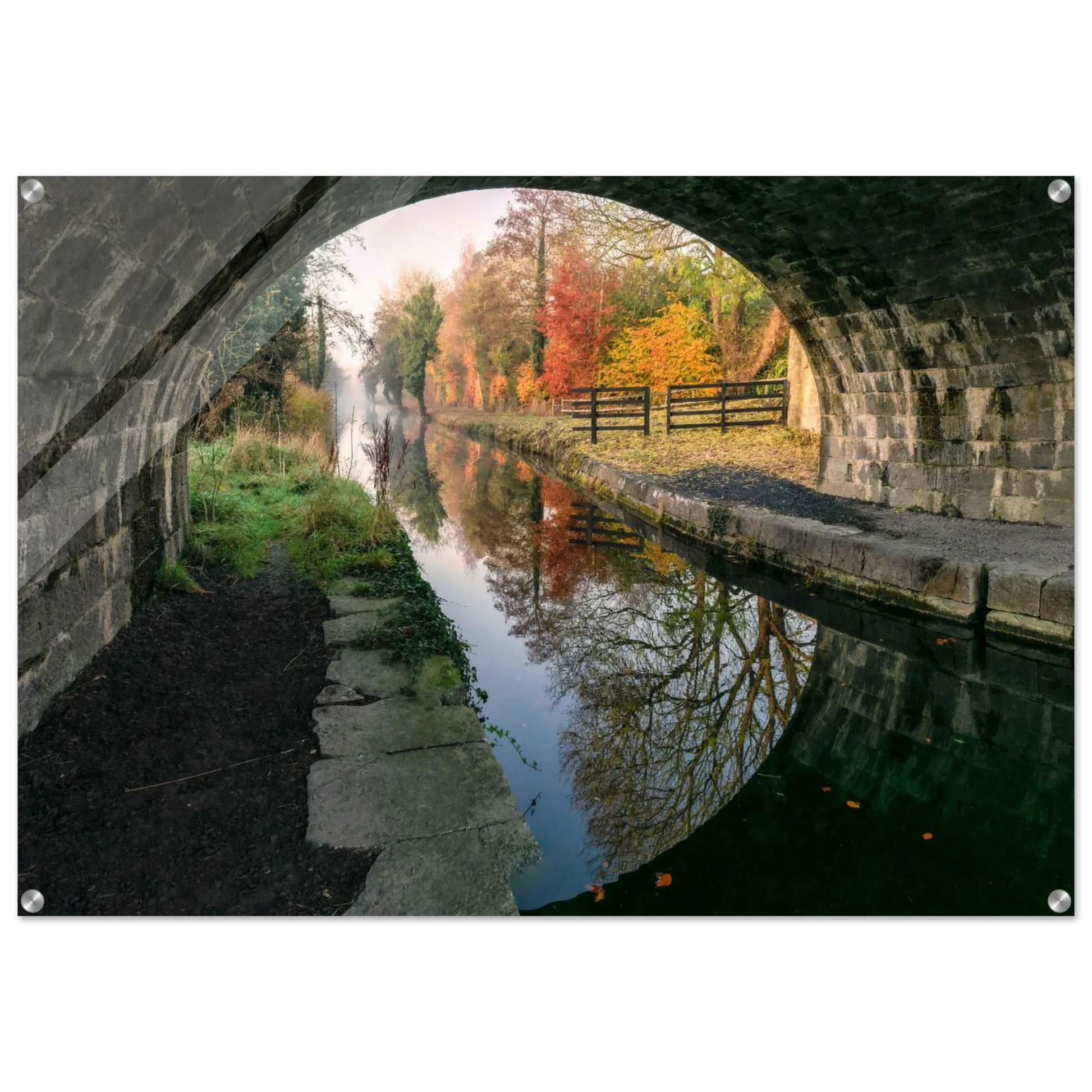 c1689c30-f0c4-474a-8d73-c36542c0371f