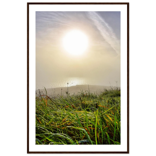 c169b07d-8f26-4d9c-83ff-25e4c2f97a54