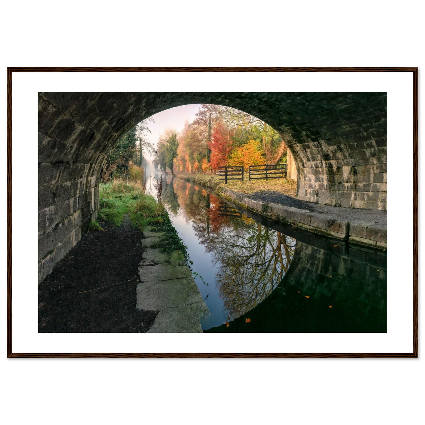 c2058ece-6a5d-4edb-8b76-63f664d907d6