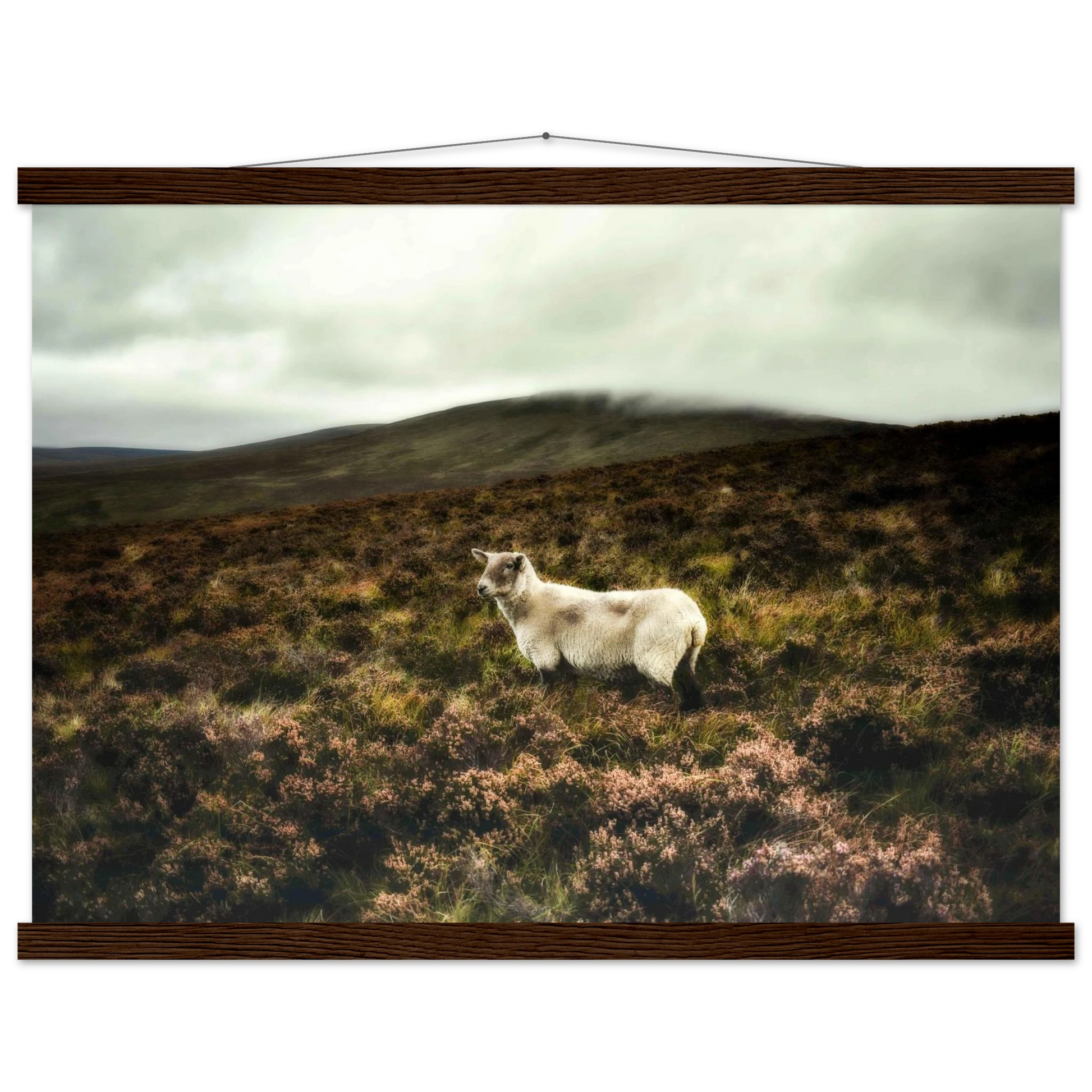 c213e70e-a07b-474d-8172-d59eea55a81a