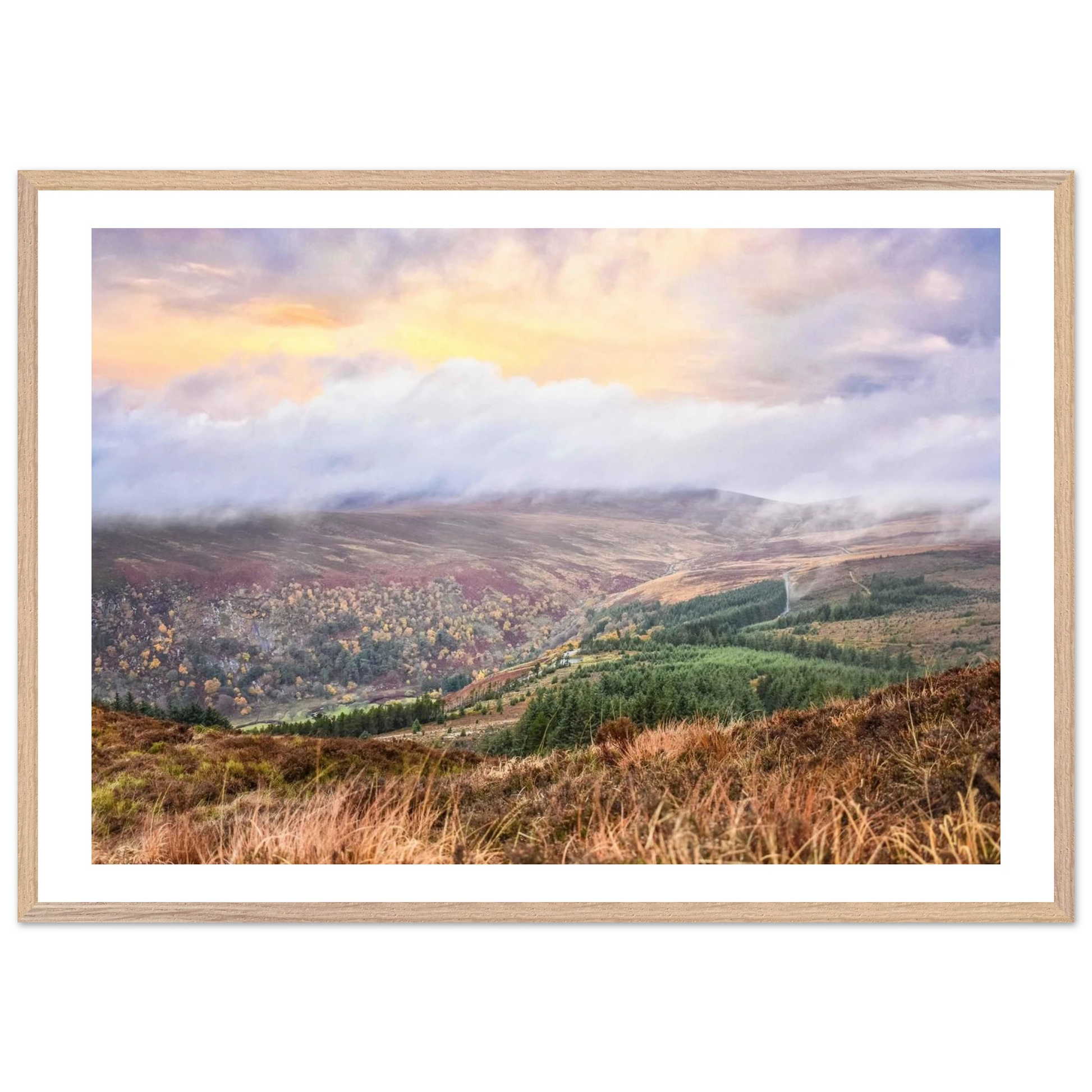 c215da94-1332-4a99-ac2a-9614f9453e05