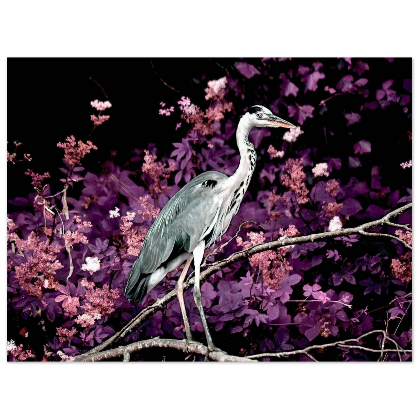 c29631fd-2feb-4983-9576-946727a5f504