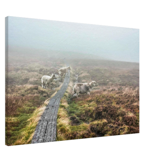 c29fc2e7-0e88-4e3c-a674-355727be84eb