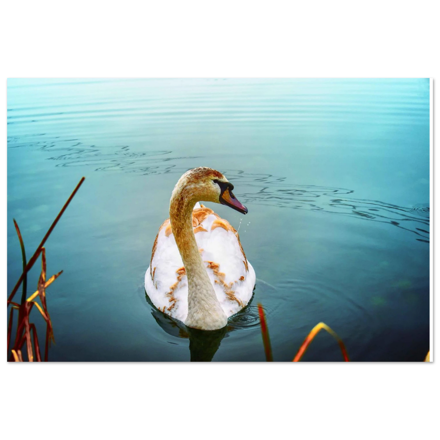 c30d6307-41ee-4651-86e0-78e4f0ba2850