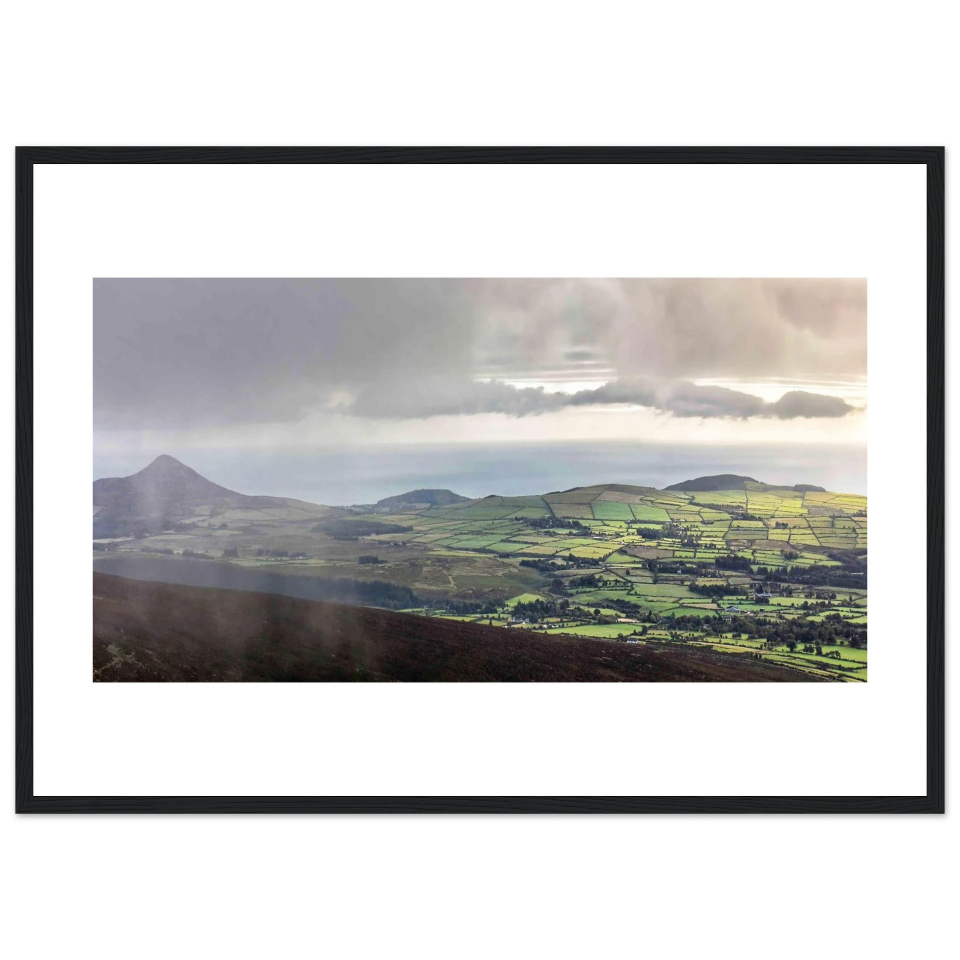 c31b9d5f-f4c8-4cab-8a2e-3d70a350aa2d