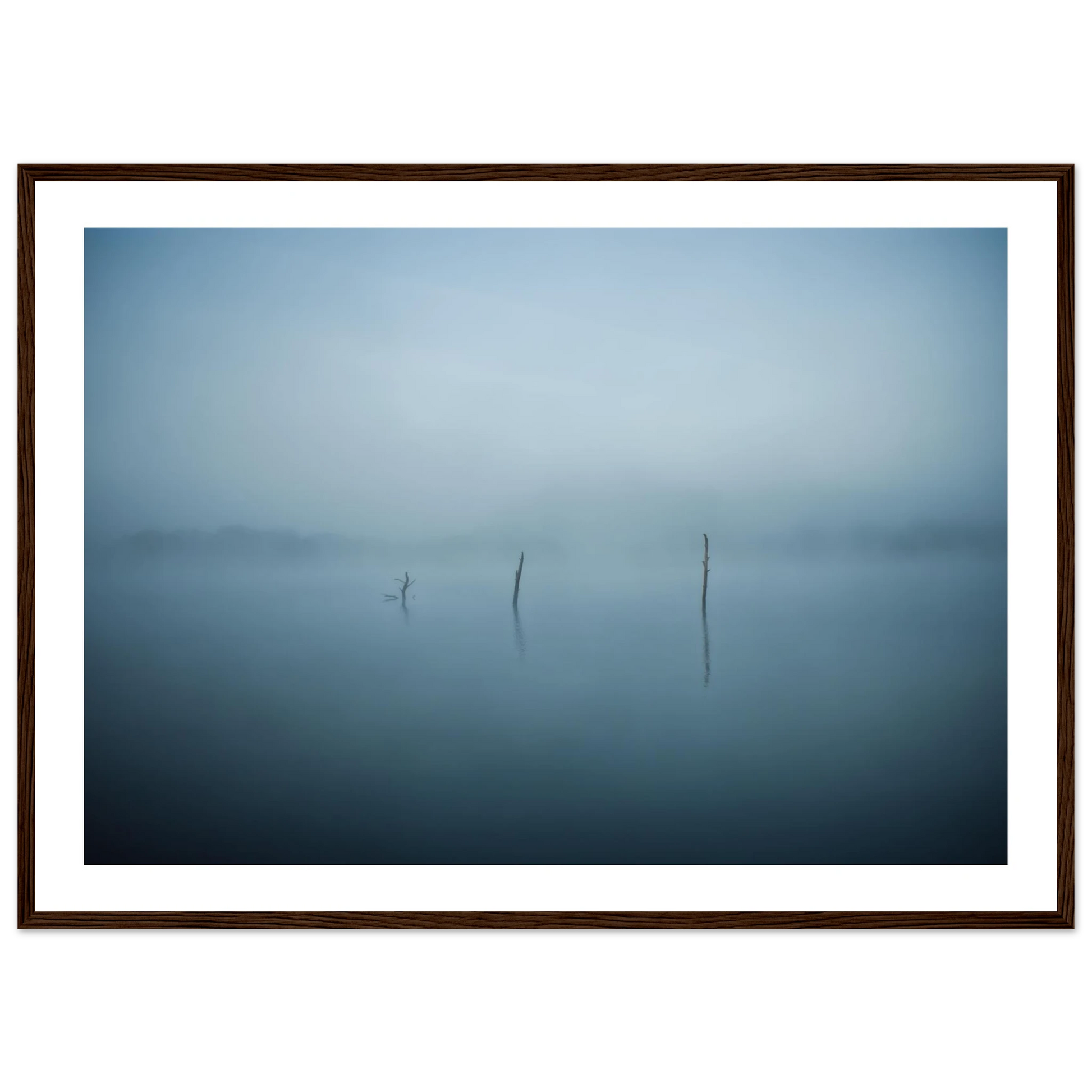 c3335869-dc7f-48f0-b8c8-dbe50accff94