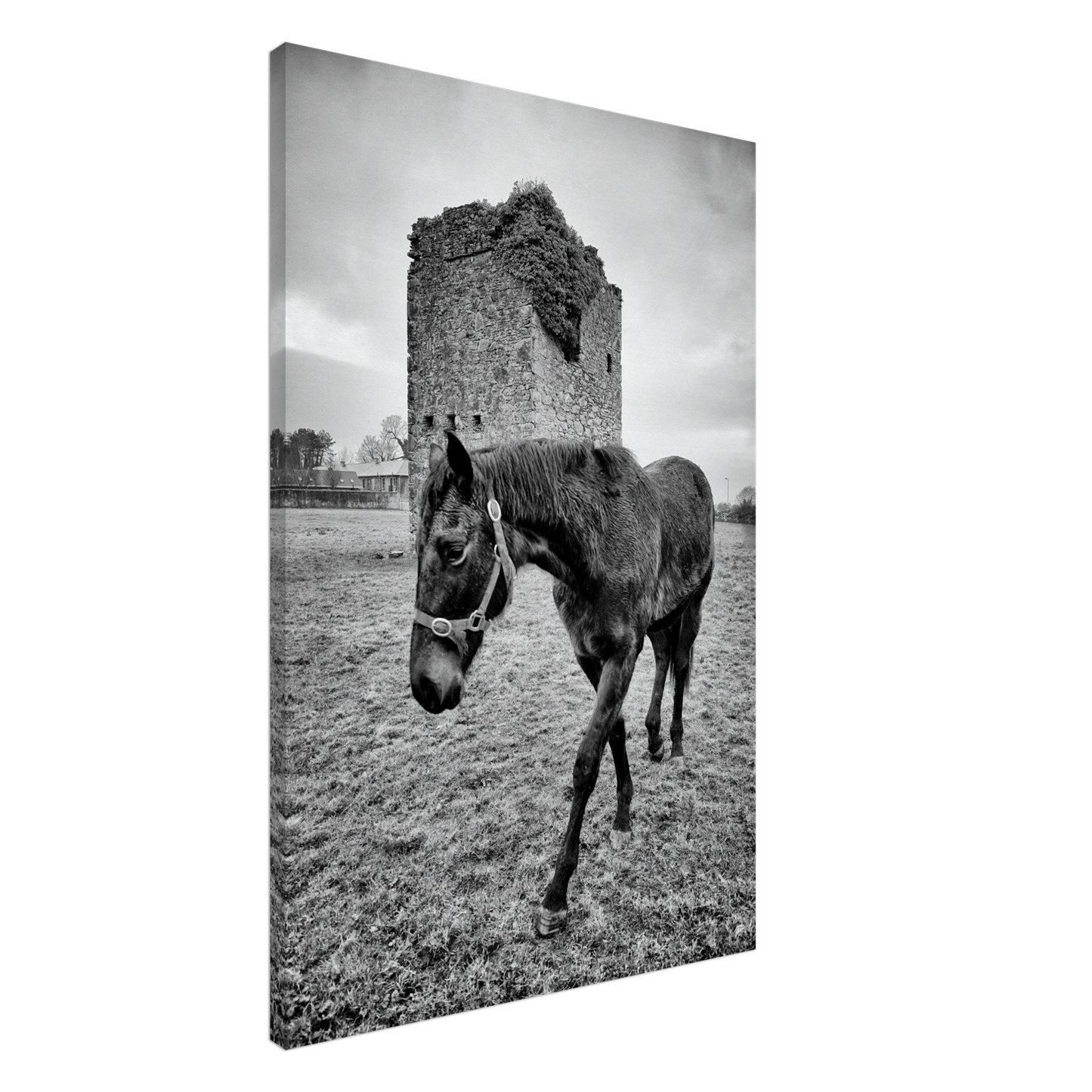 c34476c8-2c97-42c6-9a9b-9f2b87fe1a5a