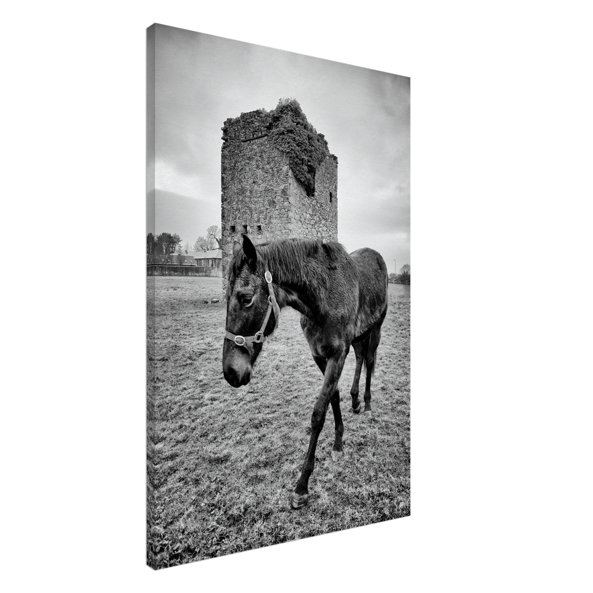 c34476c8-2c97-42c6-9a9b-9f2b87fe1a5a