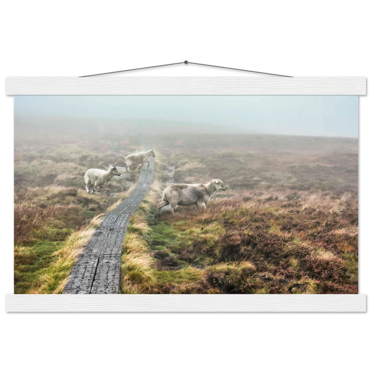 c3631525-81a7-4bab-a60b-9e6b8d4809e8