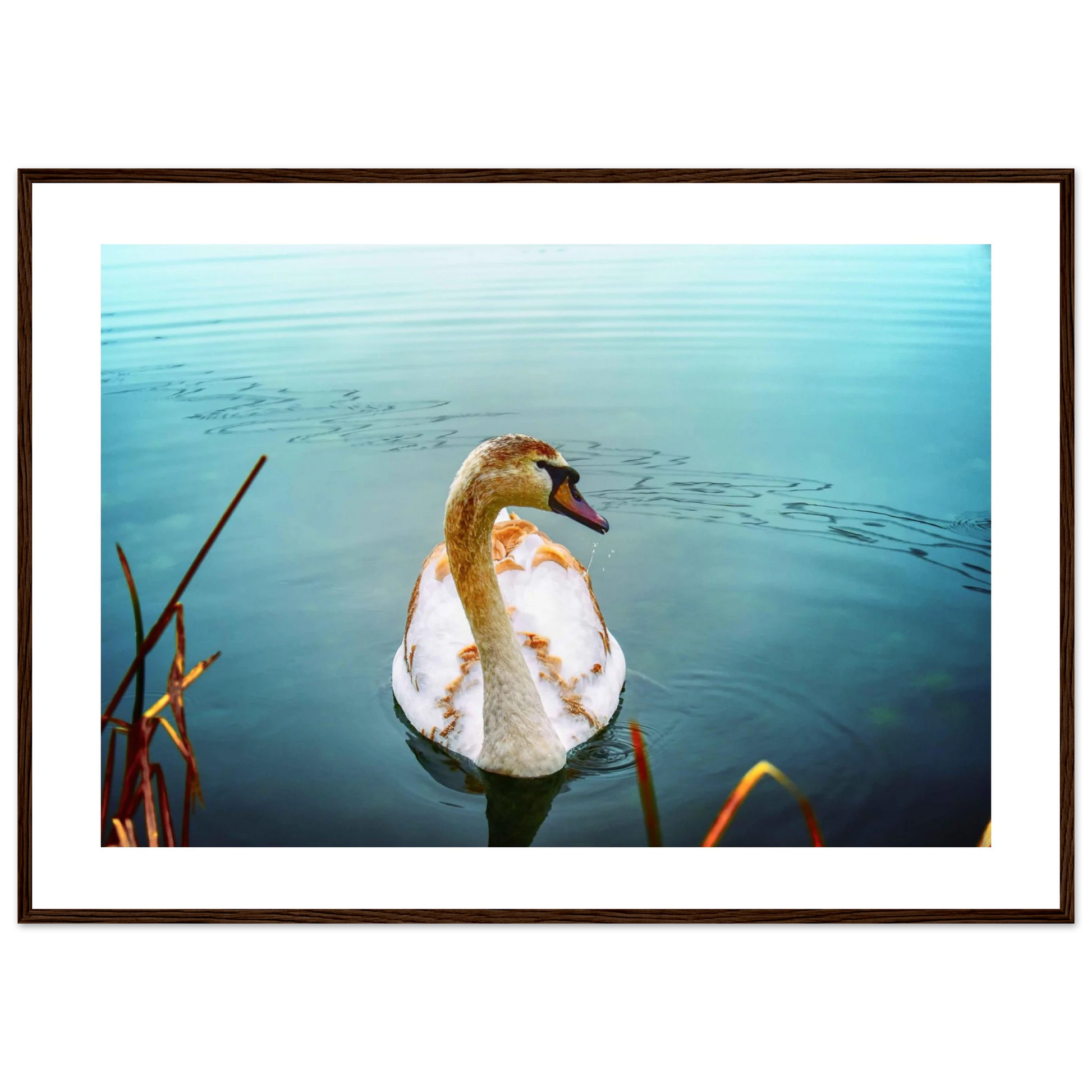 c40a03db-367a-471c-abfc-37093d9b4d19