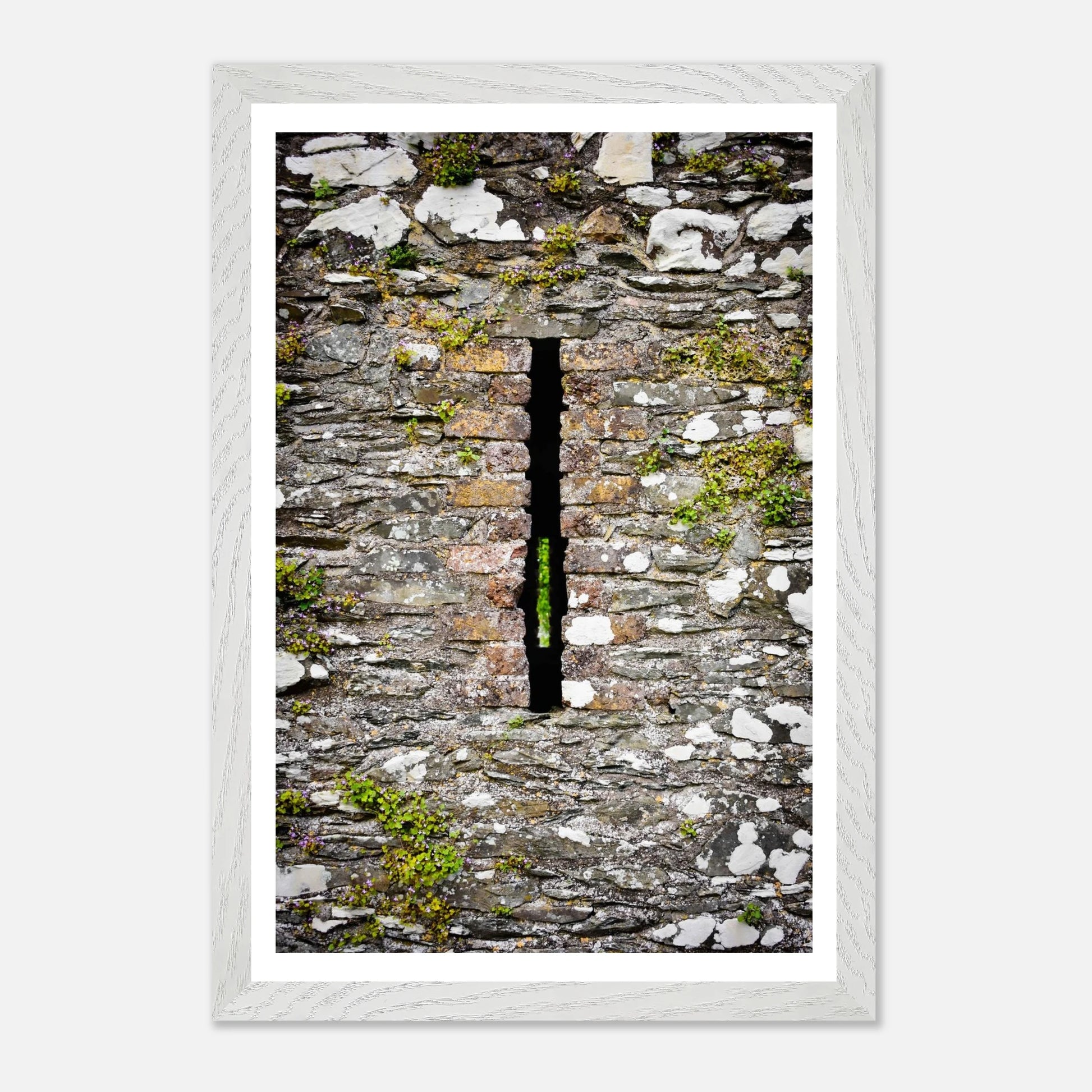 c40b1518-1a12-4484-9b34-2907b3b25b31