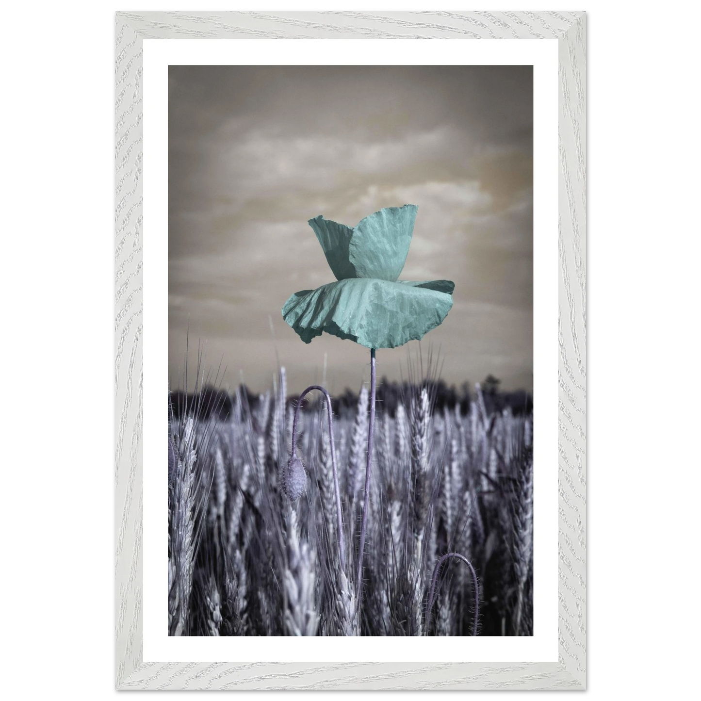 c4772e8e-fd7b-47ea-a232-0e6fcd6ea792