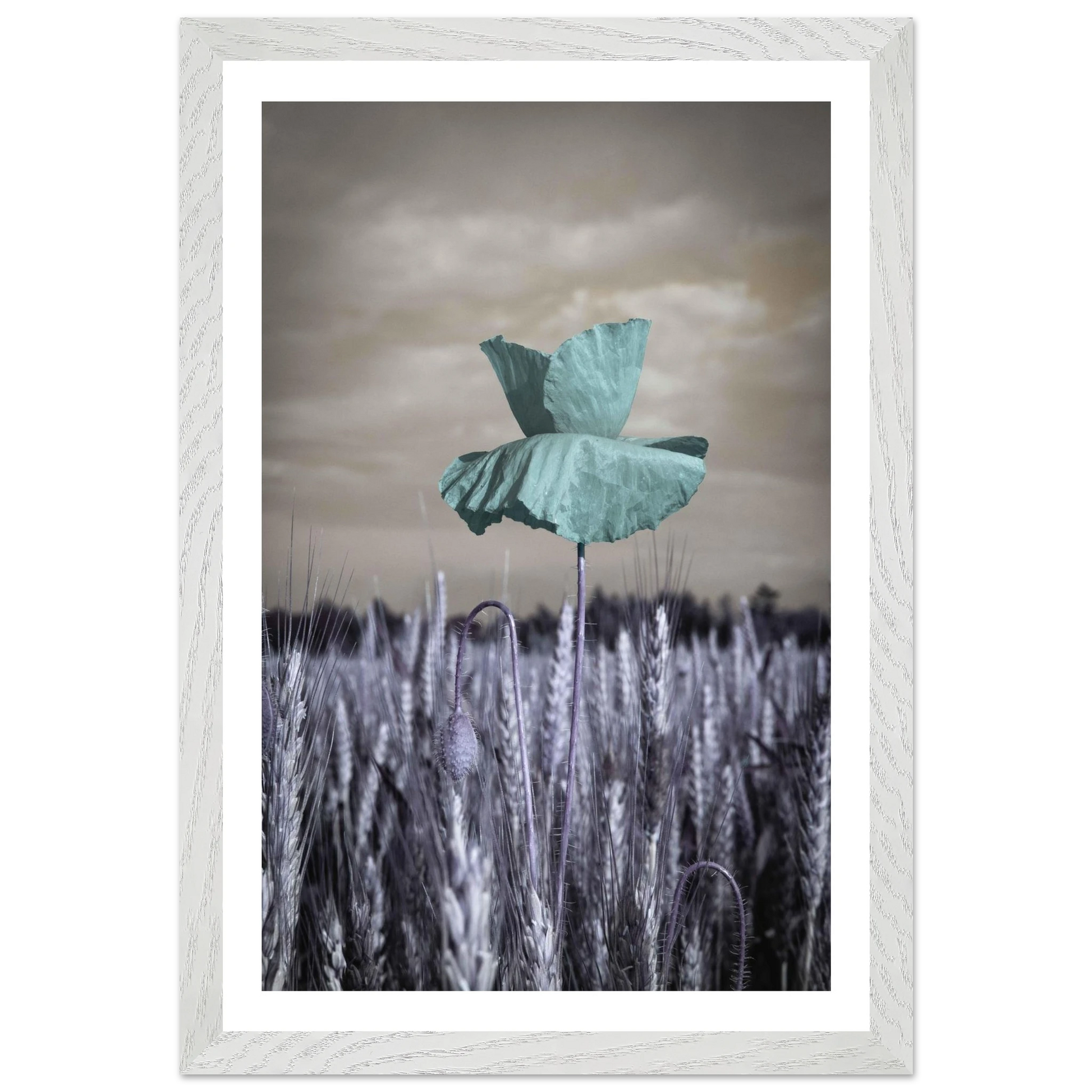 c4772e8e-fd7b-47ea-a232-0e6fcd6ea792