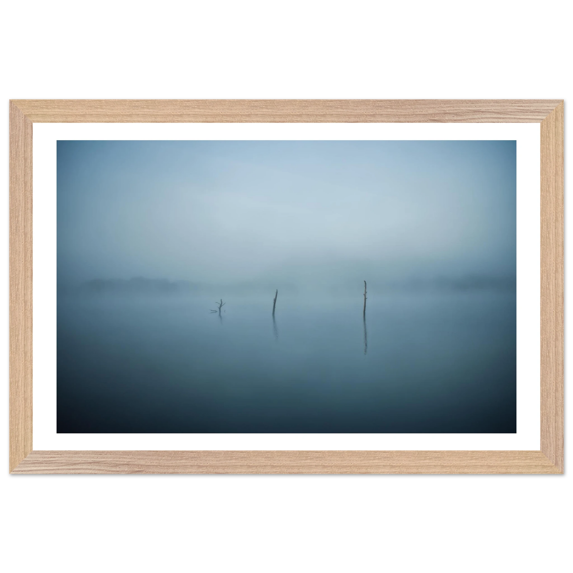 c48ea68e-2a21-4a6a-9d46-4acd38a74538