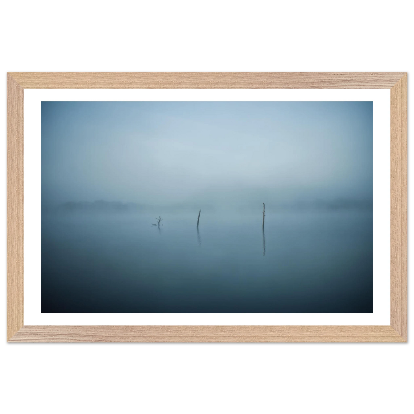 c48ea68e-2a21-4a6a-9d46-4acd38a74538