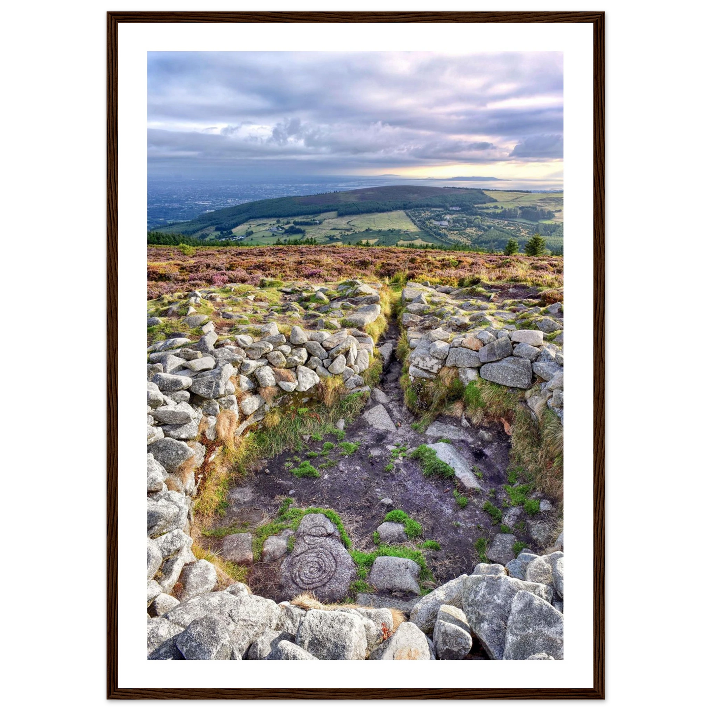 c4faf432-9d55-4f50-b95b-b6d2fe877414