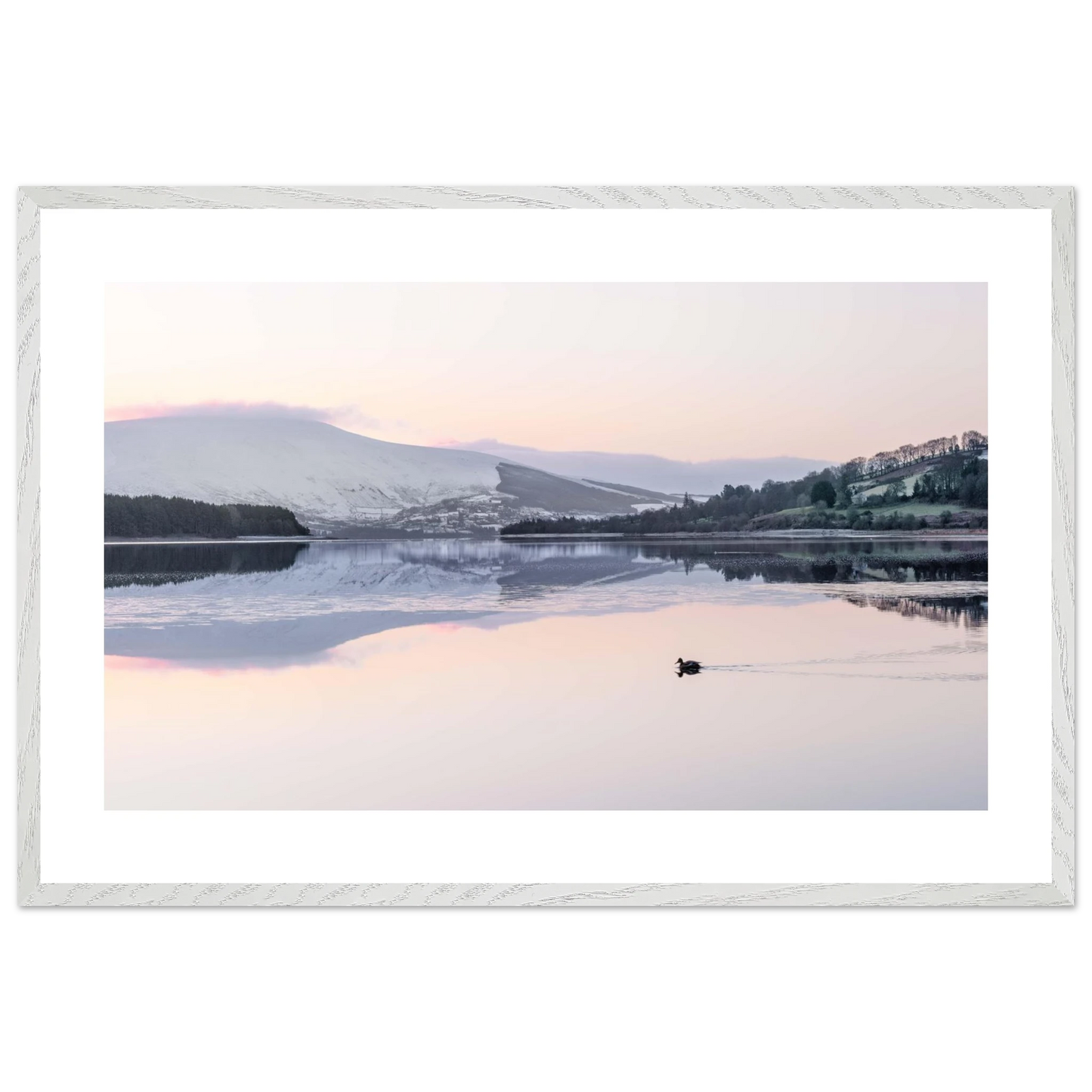 c5189db9-b9cc-423a-b69d-3bf70ea29824