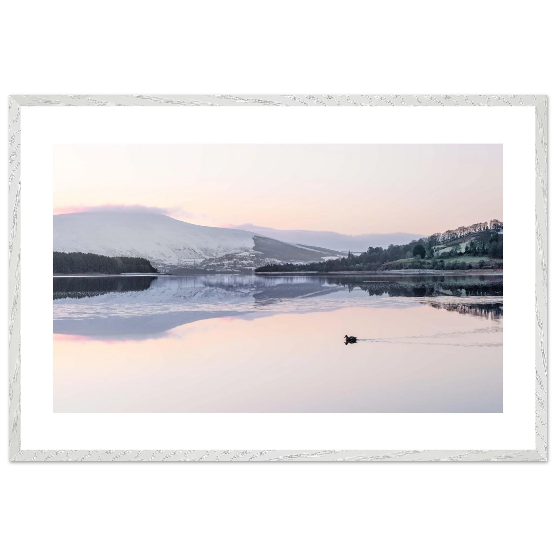 c5189db9-b9cc-423a-b69d-3bf70ea29824