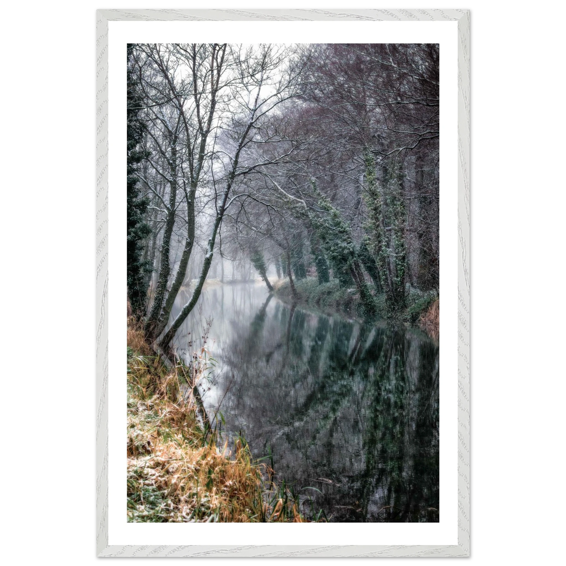 c51eed6a-04b6-4dad-88a3-6d117536e088