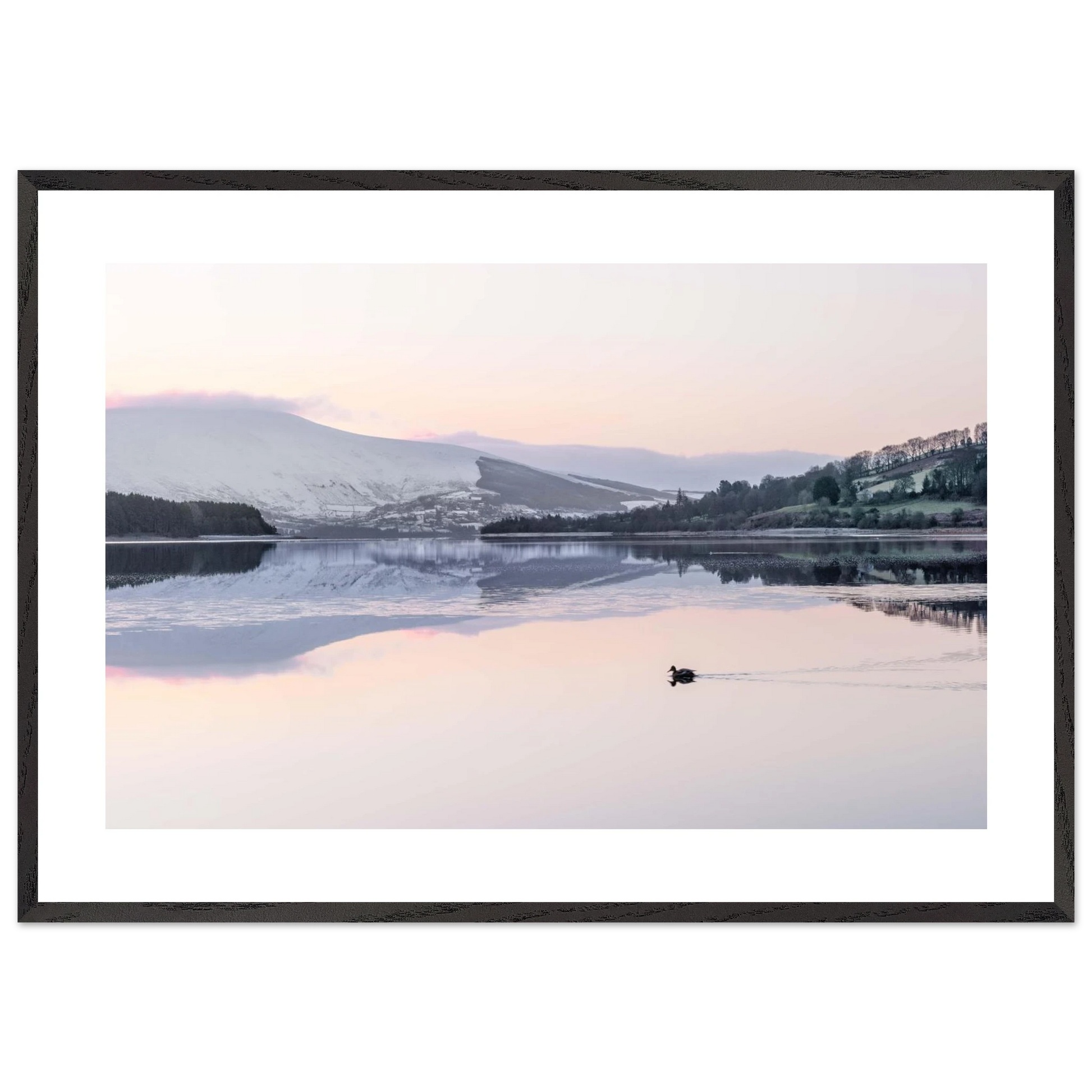 c52400b6-b80c-48ac-bdfa-fa21c2ba03fd