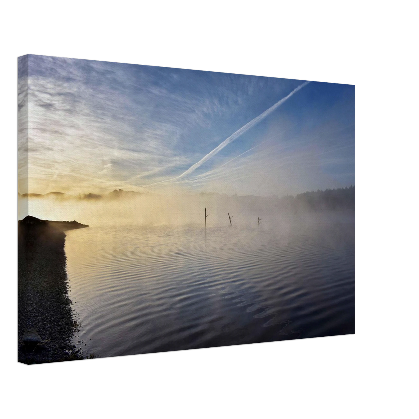 c5b3f991-7770-47dc-9fe3-0f034499f6b8