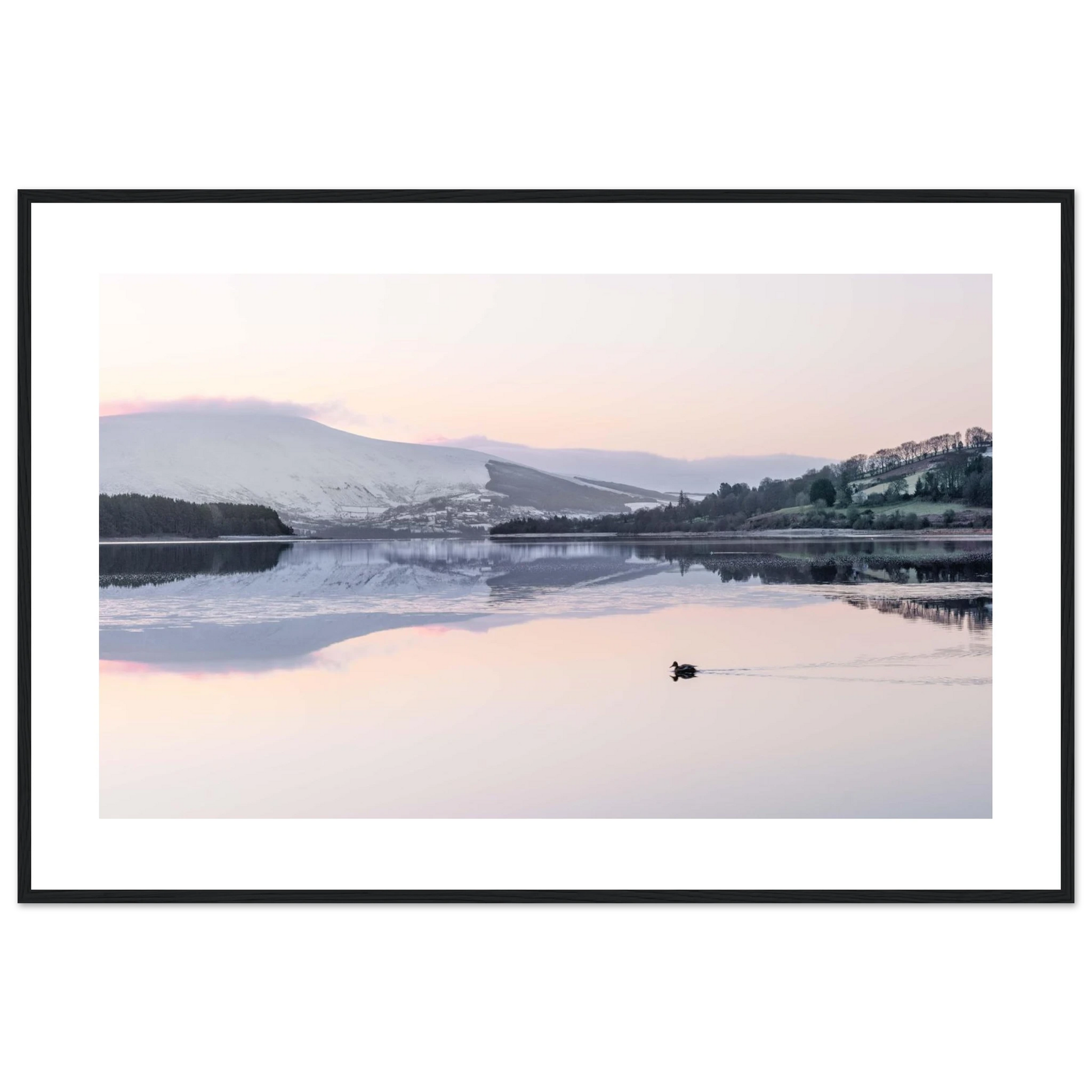 c5bc7b2e-2348-4a80-8a46-77ed10ef5ce7