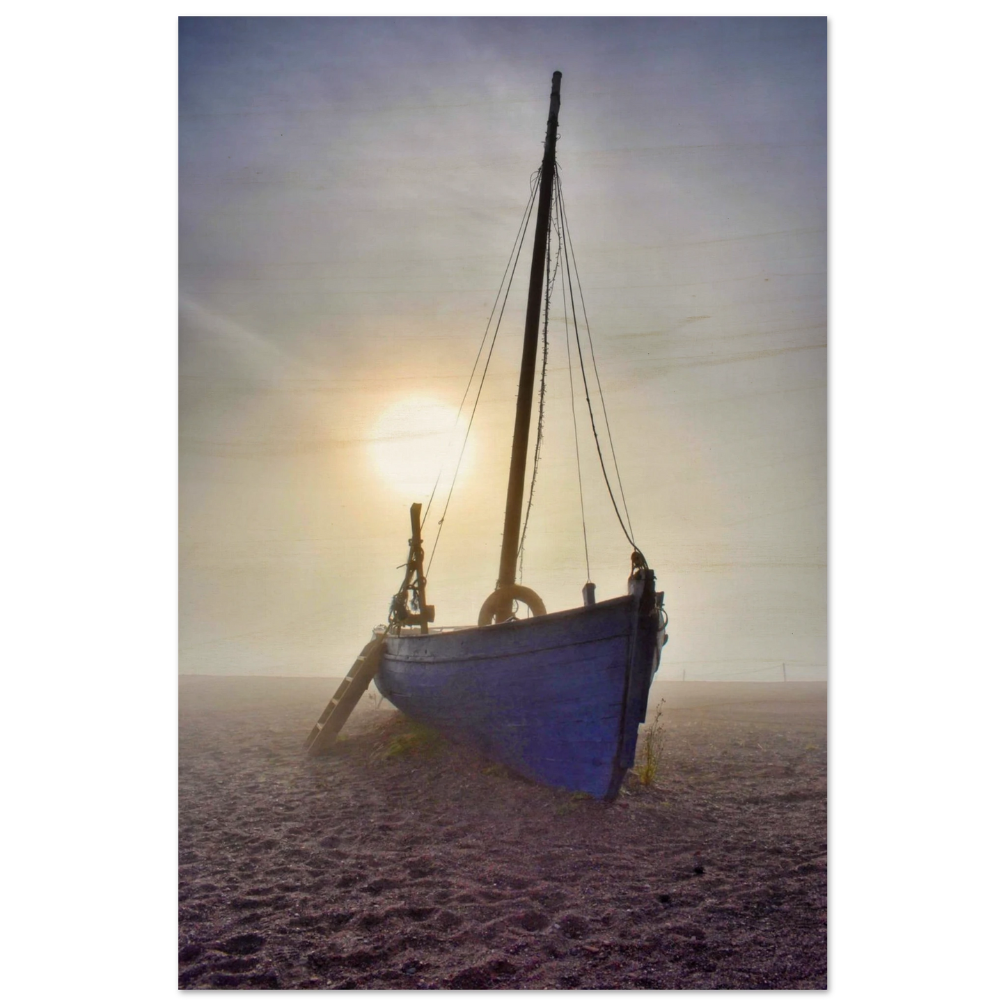 c681a163-d280-4512-81e9-848025a24da2