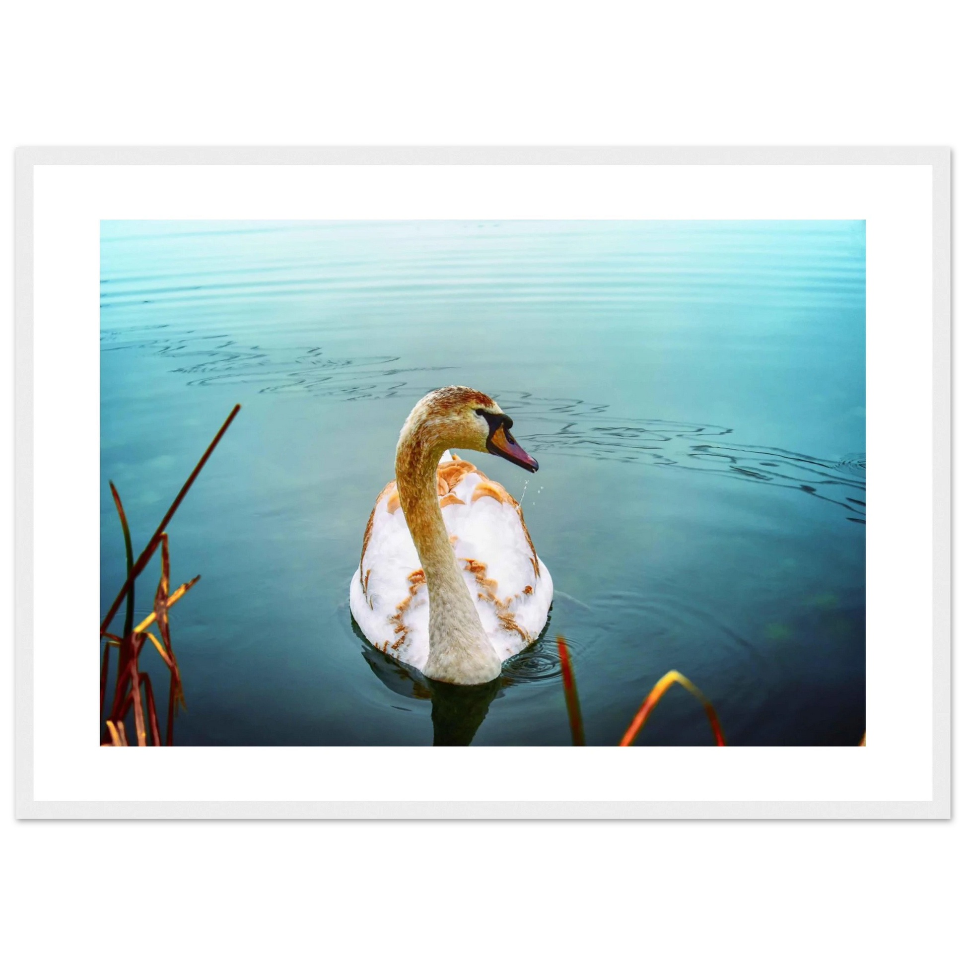 c6d46214-8e89-40ef-8c24-c874293d7330