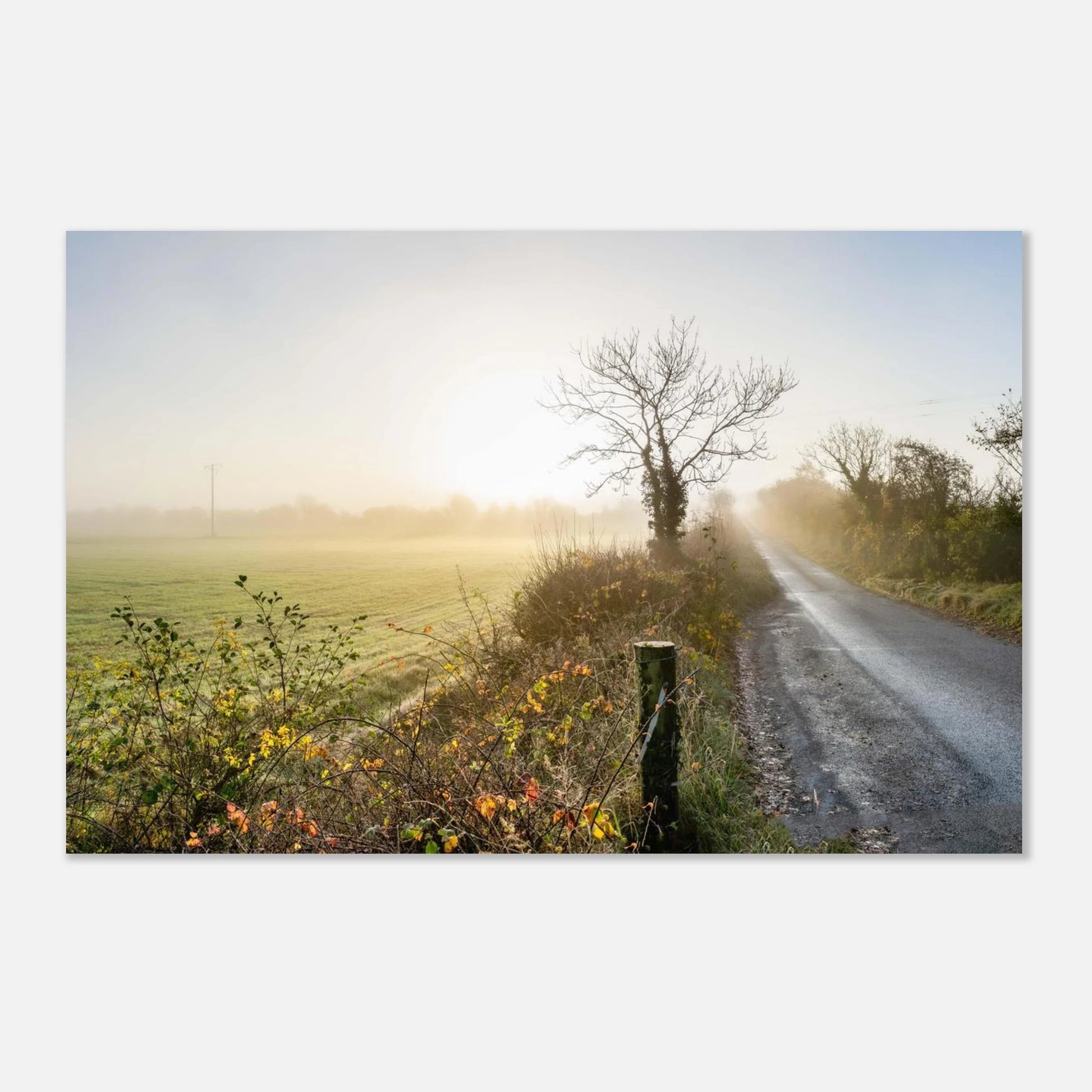 c6e09187-1ec1-4ae4-857c-7c5c5f091ddc