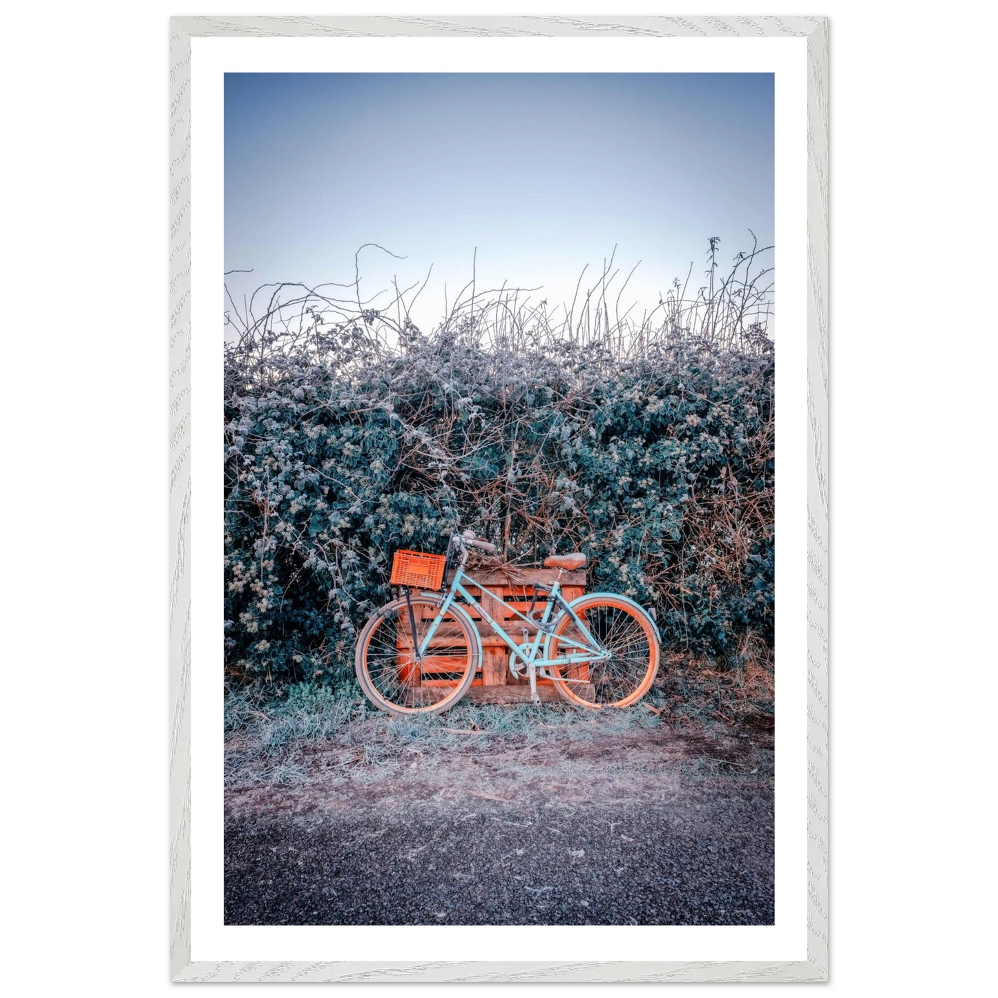 c6f82ff5-4568-465b-b559-c269c7d93641