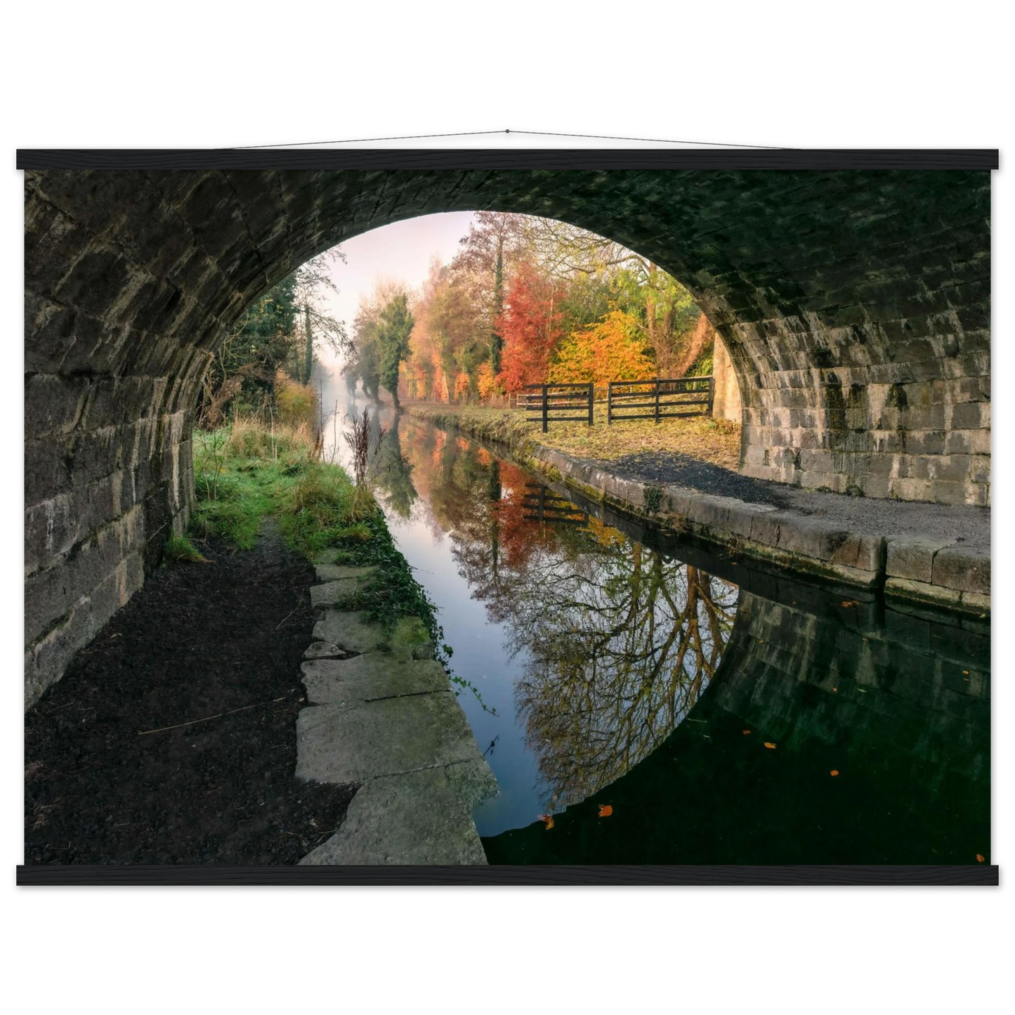 c7204fcc-8885-466d-86e6-4c37f4c22080