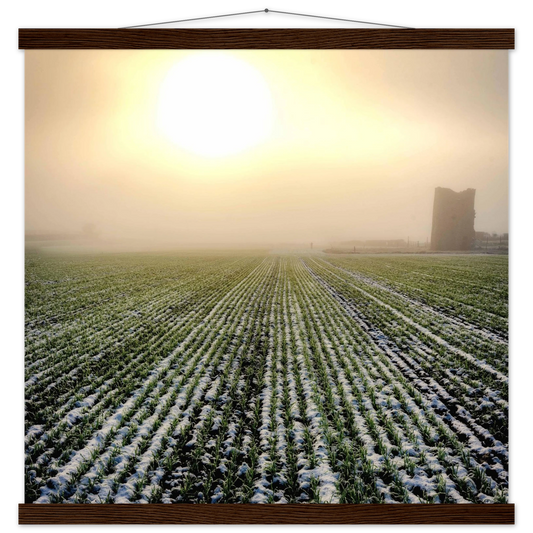 c7266804-2c52-42fc-8c0a-7f972ac7eb5c