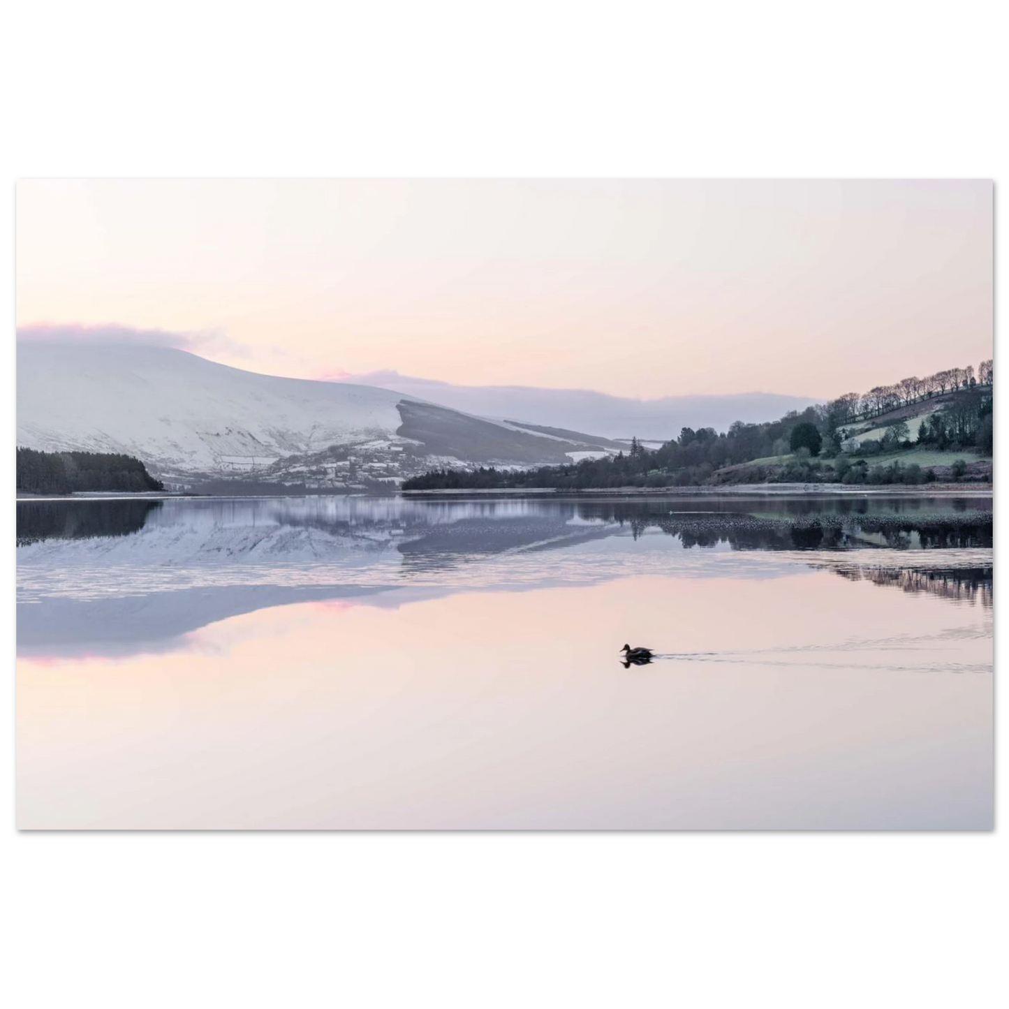 c7386853-2643-4f1a-9a92-f962ea33522d